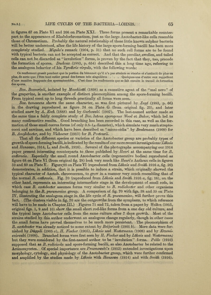 in figures 67 on Plate VI and 266 on Plate XXI. These forms present a remarkable counter¬ part to the appearance of Rhabdochromatium, just as the large Azotobacter-like cells resemble those of Chromatium. Probably the natural relationship of these little known sulphur bacteria will be better understood, after the life history of the large spore-forming bacilli has been more completely studied. Migula’s remark (1904, p. 31) that no such cell forms are to be found with typical bacteria can not be accepted as correct. And that the peculiar, swollen, and tailed cells can not be discarded as “involution” forms, is proven by the fact that they, too, precede the formation of spores. Duclaux (18S3, p. 654) described this a long time ago, referring to the analogous behavior of his Tyrothrix virgula, with the following words: Ce renflement grossit pendant que la portion du batonnet qu’il n’a pas atteinte se resorbe et s’amincit de plus en plus, de sorte que l’etre tout entier prend des formes tres singulieres . . . Quelques-uns d’entre eux rappellent d’une maniere frappante des spermatozoides. C’est dans les renflements que se fait ensuite le travail de formation des spores. Bac. Baccarinii, isolated by Macchiatti (1898) as a causative agent of the “mal nero” of the grapevine, is another example of distinct pleomorphism among the spore-forming bacilli. From typical cocci up to long threads practically all forms were seen. Bac. tumescens shows the same character, as was first pictured by Zopf (1883, p. 66) in the drawing reproduced as figure 24 on Plate G (from original fig. 23), and later studied anew by A. Koch (1888) and by Garbowski (1907). The last-named author made at the same time a fairly complete study of Bac. luteus sporogenes Wood et Baker, which led to many confirmative results. Good branching has been recorded in this case, as well as the for¬ mation of those small coccus forms (of only 0.8-1 u diameter), which simulate very much strepto¬ cocci and sarcinae, and which have been described as “micro-oidia” by Bredemann (1909) for B. Amylobaeter, and by Viehoever (1913) for B. Pasteurii. That all the different species or varieties of the Azotobacter group are probably types of growth of spore-forming bacilli, is indicated by the results of our more recent investigations (Lohnis and Hanzawa, 1914, L. and Smith, 1916). Several of the photographs accompanying our 1914 paper present interesting counterparts to those published by Henri at the same time for B. anthrads. Especially the small round Azotobacter cells (regenerative bodies) reproduced as figure 68 on Plate VI (from original fig. 28) look very much like Henri’s Anthrax cells in figures 59 and 60 on Plate V. Figure'69 on Plate VT (reproduced from Lohnis and Smith 1916 a, fig. 20) demonstrates, in addition, that it is possible to induce a strain, which originally showed the typical character of Azotob. chroococcum, to grow in a manner very much resembling that of the normal B. anthrads. Fig. 70 (reproduced from Lohnis and Smith 1916 a, fig. 16), on the other hand, represents an interesting intermediate stage in the development of small rods, in which case B. azotobacter assumes forms very similar to B. radiobader and other organisms belonging to the B. pneumoniae group. A comparison of fig. 70 with figs. 38 and 39 on Plate TV, illustrating the analogous stage in the life cycle of B. pneumoniae, will further prove this fact. (The clusters visible in fig. 70 are the outgrowths from the symplasm, to which reference will have to be made in Chapter III.) Figures 71 and 72, taken from a paper by Walton (1915, original figs. 1, 9 and 10) show the small short rod-like forms from a one day old culture, and the typical large Azotobacter cells from the same culture after 7 days growth. Most of the strains studied by this author underwent an analogous change regularly, though in other cases the small forms have proved themselves to be much more persistent. The pleomorphism of B. azotobader was already noticed to some extent by Beijerinck (1901 b). More data were fur¬ nished by Duggeli (1905 a), H. Fischer (1905), Lohnis and Westermann (1908) and by Krzemi- eniewski (1908). Branched forms were first seen by H. Fischer and by Lohnis and Westermann; but they were considered by the first-named author to be “involution” forms. Peklo (1910) supposed that as B. radidcola and spore-forming bacilli, so also Azotobacter be related to the Actinomycetes. Of special importance are Prazmowski's (1912) extended investigations upon morphology, cytology, and physiology of the Azotobacter group, which were further confirmed and amplified by the studies made by Lohnis with Hanzawa (1914) and with Smith (1916).