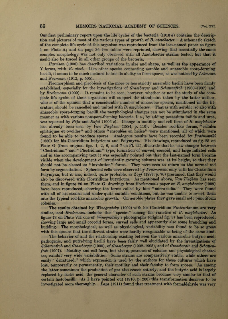 Our first preliminary report upon the life cycles of the bacteria (1916 a) contains the descrip¬ tion and pictures of most of the various types of growth of B. azotobader. A schematic sketch of the complete life cycle of this organism was reproduced from the last-named paper as figure 1 on Plate A; and on page 36 two tables were reprinted, showing that essentially the same complex morphology was not only observed with all Azotobacter strains tested, but that it could also be traced in all other groups of the bacteria. Harrison (1900) has described variations in size and shape, as well as the appearance of Y forms, with B. alvei. Like other species connecting aerobic and anaerobic spore-forming bacilli, it seems to be much inclined to lose its ability to form spores, as was noticed by Lehmann and Neumann (1912, p. 505). Pleomorphism and pleobiosis of the more or less strictly anaerobic bacilli have been firmly established, especially by the investigations of Orassberger and Schattenfroh (1900-1907) and by Bredemann (1909). It remains to be seen, however, whether or not the study of the com¬ plete life cycles of these organisms will support the standpoint taken by the latter author, who is of the opinion that a considerable number of anaerobic species, mentioned in the lit¬ erature, should be cancelled and united with B. amylobader. That as with aerobic, so also with anaerobic spore-forming bacilli the morphological changes can not be stimulated in the same manner as with various nonspore-forming bacteria, i. e., by adding potassium iodide and urea, was reported by Peju and Rajat (1906 e). Change in mlotility and cell form of B. amylobader has already been seen by Van Tieghem (1884, p. 110). Besides rod-like forms, “cellules spheriques et ovoides” and others “enroulees en helice” were mentioned, all of which were found to be able to produce spores. Analogous results have been recorded by Prazmowsld (1880) for his Clostridium butyricum and Polymyxa. His drawings, reproduced as fig. 25 on Plate G (from original figs. 1, 2, 6, and 7 on PL II), illustrate that he saw changes between “Clostridium” and “Plectridium” type, formation of curved, coccoid, and large inflated cells and in the accompanying text it was especially pointed out that the last-named form became visible when the development of luxuriantly growing cultures was at its height, so that they should not be classed as “involution” forms. They were seen to return to the normal rod form by segmentation. Spherical cells were observed by Prazmowsld only with his Clostridium Polymyxa, but it was, indeed, quite probable, as Zopf (1883, p. 70) presumed, that they would also be discovered with Clostridium butyricum. As mentioned above, Van Tieghem has seen them, and in figure 26 on Plate G drawings from Bredemann’s paper on B. amylobader (1909) have been reproduced, showing the forms called by him “micro-oidia.” They were found with all of his strains and under quite suitable conditions, but he was unable to revert them into the typical rod-like anaerobic growth. On aerobic plates they gave small soft punctiform colonies. The results obtained by Winogradsky (1902) with his Clostridium Pasteurianum are very similar, and Bredemann includes this “species” among the varieties of B. amylobader. As figure 73 on Plate YII one of Winogradsky’s photographs (original fig. 3) has been reproduced, showing large and small coccoid forms, curved cells and apparently also some branching and budding. The morphological, as well as physiological, variability was found to be so great with this species that the different strains were hardly recognizable as being of the same kind. The behavior of and the relationship existing between the various anaerobic butyric acid, pathogenic, and putrefying bacilli have been fairly well elucidated by the investigations of Schattenfroh and Grassberger (1900), of Grassberger (1902-1905), and of Grassberger and Schatten¬ froh (1907). Motility and cell form, but also appearance of colonies and physiological charac¬ ter, exhibit very wide variabilities. Some strains are comparatively stable, while others are easily “denatured,” which expression is used by the authors for those cultures which have lost, temporarily or permanently, their motility and their faculty to form spores. As among the latter sometimes the production of gas also ceases entirely, and the butyric acid is largely replaced by lactic acid, the general character of such strains becomes very similar to that of certain lactobacilli. As I have pointed out (1910, p. 200) this transformation deserves to be investigated more thoroughly. Laxa (1911) found that treatment with formaldehyde was very