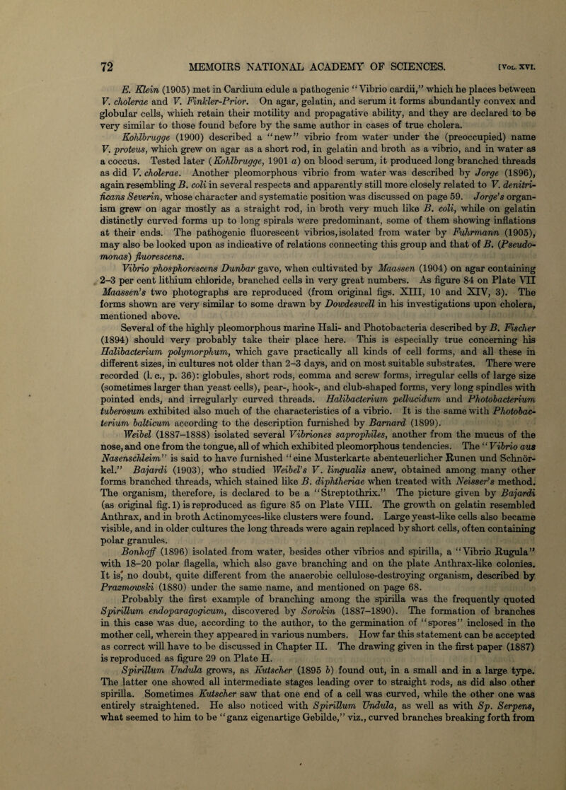 E. Klein (1905) met in Cardium edule a pathogenic Vibrio cardii,” which he places between V. cholerae and V. Finkler-Prior. On agar, gelatin, and serum it forms abundantly convex and globular cells, which retain their motility and propagative ability, and they are declared to be very similar to those found before by the same author in cases of true cholera. Kohlbrugge (1900) described a new” vibrio from water under the (preoccupied) name V. proteus, which grew on agar as a short rod, in gelatin and broth as a vibrio, and in water as a coccus. Tested later (KohTbrugge, 1901 a) on blood serum, it produced long branched threads as did V. cholerae. Another pleomorphous vibrio from water was described by Jorge (1896), again resembling B. coli in several respects and apparently still more olosely related to V. denitri- hcans Severin, whose character and systematic position was discussed on page 59. Jorge’s organ¬ ism grew on agar mostly as a straight rod, in broth very much like B. coli, while on gelatin distinctly curved forms up to long spirals were predominant, some of them showing inflations at their ends. The pathogenic fluorescent vibrios, isolated from water by Fuhrmann (1905), may also be looked upon as indicative of relations connecting this group and that of B. (Pseudo¬ monas) jluorescens. Vibrio phosphorescens Dunbar gave, when cultivated by Maassen (1904) on agar containing 2-3 per cent lithium chloride, branched cells in very great numbers. As figure 84 on Plate VII Maassen’s two photographs are reproduced (from original figs. XIII, 10 and XIV, 3). The forms shown are very similar to some drawn by Dowdeswell in his investigations upon cholera, mentioned above. Several of the highly pleomorphous marine Hah- and Photobacteria described by B. Fischer (1894) should very probably take their place here. This is especially true concerning his Hdlibacterium polymorphum, which gave practically all kinds of cell forms, and all these in different sizes, in cultures not older than 2-3 days, and on most suitable substrates. There were recorded (1. c., p. 36): globules, short rods, comma and screw forms, irregular cells of large size (sometimes larger than yeast cells), pear-, hook-, and club-shaped forms, very long spindles with pointed ends, and irregularly curved threads. Hdlibacterium pellucidum and Photobacterium tuberosum exhibited also much of the characteristics of a vibrio. It is the same with Photobac¬ terium balticum according to the description furnished by Barnard (1899). Weibel (1887-1888) isolated several Vibriones saprophiles, another from the mucus of the nose, and one from the tongue, all of which exhibited pleomorphous tendencies. The ‘ ‘ Vibrio aus Nasenschleim” is said to have furnished eine Musterkarte abenteuerlicher Runen und Schnor¬ kel.” Bajardi (1903), who studied Weibel’s V. lingudlis anew, obtained among many other forms branched threads, which stained like B. diphtheriae when treated with Neisser’s method. The organism, therefore, is declared to be a Streptothrix.” The picture given by Bajardi (as original fig. 1) is reproduced as figure 85 on Plate VIII. The growth on gelatin resembled Anthrax, and in broth Actinomyces-like clusters were found. Large yeast-like cells also became visible, and in older cultures the long threads were again replaced by short cells, often containing polar granules. Bonhojf (1896) isolated from water, besides other vibrios and spirilla, a Vibrio Rugula” with 18-20 polar flagella, which also gave branching and on the plate Anthrax-like colonies. It is' no doubt, quite different from the anaerobic cellulose-destroying organism, described by Prazmowski (1880) under the same name, and mentioned on page 68. Probably the first example of branching among the spirilla was the frequently quoted Spirillum endoparagogicum, discovered by Sorokin (1887-1890). The formation of branches in this case was due, according to the author, to the germination of spores” inclosed in the mother cell, wherein they appeared in various numbers. How far this statement can be accepted as correct will have to be discussed in Chapter II. The drawing given in the first paper (1887) is reproduced as figure 29 on Plate H. Spirillum TJndula grows, as Kutscher (1895 b) found out, in a small and in a large type. The latter one showed all intermediate stages leading over to straight rods, as did also other spirilla. Sometimes Kutscher saw that one end of a cell was curved, while the other one was entirely straightened. He also noticed with Spirillum TJndula, as well as with Sp. Serpens, what seemed to him to be ganz eigenartige Gebilde,” viz., curved branches breaking forth from