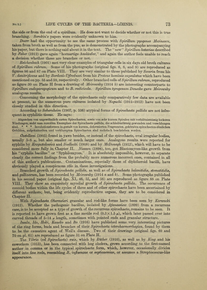 the side or from the end of a spirillum. He does not want to decide whether or not this is true branching. Sorokin's papers were evidently unknown to him. Doerr had the opportunity to see the same process with Spirillum pyogenes Mezinescu, taken from broth as well as from the pus, as is demonstrated by the photographs accompanying his paper, but there is nothing said about it in the text. The new” Spirillum bataviae described by Faber (1912) gave again “hornartige Auslaufer,” and again the author feels unable to reach a decision whether these are branches or not. Reichenbach (1901) met very clear examples of triangular cells in six days old broth cultures of Spirillum rubrum. Some of his photographs (original figs. 6, 8, and 9) are reproduced as figures 86 and 87 on Plate VIII. They are very similar to those published by Severin from his V. denitrificans and by Bordoni-Ujfreduzzi from his Proteus hominis capsulatus which have been mentioned on pp. 55 and 59, respectively. Other branched cells of Spirillum rubrum, reproduced as figure 30 on Plate H from a drawing of Meirowsky (1914 b) are interesting counterparts to Spirillum endoparagogicum and to B. radicicola. Spirillum tyrogenum Denecke gave Meirowsky analogous results. Concerning the morphology of the spirochaets only comparatively few data are available at present, as the numerous pure ctdtures isolated by Noguchi (1911-1912) have not been closely studied in this direction. According to Sobernheim (1907, p. 536) atypical forms of Spirochaeta pallida are not infre¬ quent in syphilitic tissue. He says: Abgesehen von ungewohnlich zarten Spirochaeten, sowie von sehr kurzen Spiralen mit verhaltnismassig lockeren Windungen, sieht man zuweilen Exemplare der Spirochaete pallida, die schleifenformig gewunden und verschlungen Bind. * * * Involutionsformen in gestalt von kurzen, deformierten Fragmenten, gekomten spirochaeten-ahnlichen Gebilden, aufgeknauelten und verklumpten Spirochaeten sind mehrfach beschrieben worden. Gastellani (1905) found in yaws besides, or instead of the spirochaets, oval irregular bodies, usually 5-8 n, but also smaller or much larger ones. Analogous results were reported for syphilis by Krzysztalowicz and Siedlecki (1908) and by McDonagh (1912), which will have to be considered more fully in Chapter II. Niessen (1898), too, got Blastomyces-like growth from his “syphilis bacillus” or “Syphilomyces.” It is absolutely impossible, however, to separate clearly the correct findings from the probably more numerous incorrect ones, contained in all of this author’s publications. Contaminations, especially those of diphtheroid bacilli, have obviously played a conspicuous role in these investigations. Branched growth of Spirochaeta pallida, as well as of Spirochaeta balanitidis, stomatitidis, and gallinarum, has been recorded by Meirowsky (1914 a and b). Some photographs published in his second paper (original figs. XI, 46, 55, and 56) are reproduced as figure 88 on Plate VIII. They show an exquisitely mycelial growth of Spirochaeta pallida. The occurrence of coccoid bodies within the life cycles of these and of other spirochaets have been ascertained by different authors; but, being evidently reproductive organs, they are to be considered in Chapter II. With Spirochaeta Obermeieri granular and rod-like forms have been seen by Earwacki (1912). Whether the pathogenic bacillus, isolated by Afanassiew (1899) from a recurrens case, is to be accepted as a type of growth of the recurrens spirochaete, remains to be seen. It is reported to have grown first as a fine motile rod (0.3 X 1.5 /jl), which later passed over into curved threads of 5-14 u length, sometimes with pointed ends and granular structure. Inada, Ido, Hoki, Kaneko and Ito (1916) have published some very interesting pictures of the ring forms, buds and branches of their Spirochaeta icterohaemorrhagica, found by them to be the causative agent of Weil’s disease. Two of their drawings (original figs. 69 and 70 on pi. 61) are reproduced as figure 31 on Plate H. The Vibrio (pel Spirochaeta) suis, which by Ruther (1910), as well as by King and his coworkers (1913), has been connected with hog cholera, grows according to the first-named author in comma or in the typical spirochaete form, which, however, occasionally divides itself into fine rods, resembling B. influenzae or septicaemiae, or assumes a Streptococcus-like appearance.