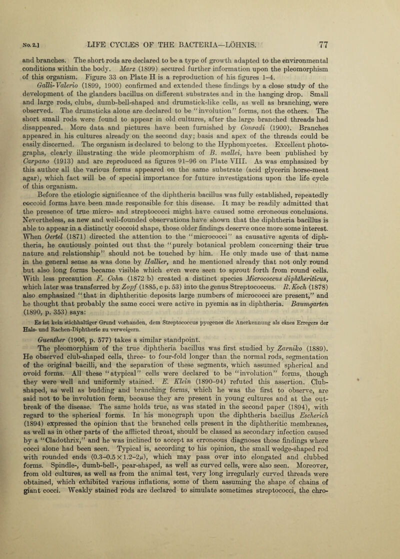 and branches. The short rods are declared to be a type of growth adapted to the environmental conditions within the body. Marx (1899) secured further information upon the pleomorphism of this organism. Figure 33 on Plate H is a reproduction of his figures 1-4. Galli-Vdlerio (1899, 1900) confirmed and extended these findings by a close study of the development of the glanders bacillus on different substrates and in the hanging drop. Small and large rods, clubs, dumb-bell-shaped and drumstick-like cells, as well as branching, were observed. The drumsticks alone are declared to be “involution” forms, not the others. The short small rods were found to appear in old cultures, after the large branched threads had disappeared. More data and pictures have been furnished by Conradi (1900). Branches appeared in his cultures already on the second day; basis and apex of the threads could be easily discerned. The organism is declared to belong to the Hyphomycetes. Excellent photo¬ graphs, clearly illustrating the wide pleomorphism of B. mallei, have been published by Cardano (1913) and are reproduced as figures 91-96 on Plate VIII. As was emphasized by this author all the various forms appeared on the same substrate (acid glycerin horse-meat agar), which fact will be of special importance for future investigations upon the life cycle of this organism. Before the etiologic significance of the diphtheria bacillus was fully established, repeatedly coccoid forms have been made responsible for this disease. It may be readily admitted that the presence of true micro- and streptococci might have caused some erroneous conclusions. Nevertheless, as new and well-founded observations have shown that the diphtheria bacillus is able to appear in a distinctly coccoid shape, those older findings deserve once more some interest. 'When Oertel (1871) directed the attention to the “micrococci” as causative agents of diph¬ theria, he cautiously pointed out that the “purely botanical problem concerning their true nature and relationship” should not be touched by him. He only made use of that name in the general sense as was done by Hallier, and he mentioned already that not only round but also long forms became visible which even were seen to sprout forth from round cells. With less precaution F. Cohn (1872 b) created a distinct species Micrococcus diphtheriticus, which later was transferred by Zopf (1885, c p. 53) into the genus Streptococcus. R.Koch (1878) also emphasized “that in diphtheritic deposits large numbers of micrococci are present,” and he thought that probably the same cocci were active in pyemia as in diphtheria. Baumaarten (1890, p. 353) says: Es ist kein stichhaltiger Grand vorhanden, dem Streptococcus pyogenes die Anerkennung als eines Erregers der Hals- und Rachen-Diphtherie zu verweigern. Guenther (1906, p. 577) takes a similar standpoint. The pleomorphism of the true diphtheria bacillus was first studied by Zamilco (1889). He observed club-shaped cells, three- to four-fold longer than the normal rods, segmentation of the original bacilli, and the separation of these segments, which assumed spherical and ovoid forms. All these “atypical” cells were declared to be “involution” forms, though they were well and uniformly stained. E. Klein (1890-94) refuted this assertion. Club- shaped, as well as budding and branching forms, which he was the first to observe, are said not to be involution form, because they are present in young cultures and at the out¬ break of the disease. The same holds true, as was stated in the second paper (1894), with regard to the spherical forms. In his monograph upon the diphtheria bacillus Escherich (1894) expressed the opinion that the branched cells present in the diphtheritic membranes, as well as in other parts of the afflicted throat, should be classed as secondary infection caused by a “Cladothrix,” and he was inclined to accept as erroneous diagnoses those findings where cocci alone had been seen. Typical is, according to his opinion, the small wedge-shaped rod with rounded ends (0.3-0.5 X 1.2-2/jl), which may pass over into elongated and clubbed forms. Spindle-, dumb-bell-, pear-shaped, as well as curved cells, were also seen. Moreover, from old cultures, as well as from the animal test, very long irregularly curved threads were obtained, which exhibited various inflations, some of them assuming the shape of chains of giant cocci. Weakly stained rods are declared to simulate sometimes streptococci, the chro-