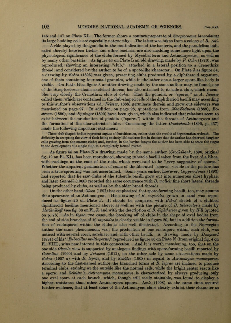 146 and 147 on Plate XI. The former shows a contact preparate of Streptococcus lanceolatus; its large budding cells are especially noteworthy. The latter was taken from a colony of B. coli. A r61e played by the gonidia in the multiplication of the bacteria, and the parallelism indi¬ cated thereby between tricho- and other bacteria, are also shedding some more light upon the physiological significance of the clubs formed by Mycobacteria and Actinomycetes, as well as by many other bacteria. As figure 43 on Plate L an old drawing, made by F. Cohn (1870), was reproduced, showing an interesting club,” attached in a lateral position to a Crenothrix thread, and considered by the author to be of a spore-like character. On Plate J as figure 34, a drawing by Babes (1895) was given, presenting clubs produced by a diphtheroid organism, one of them containing four small granules, while in the other one a larger spore-like body is visible. On Plate B as figure 3 another drawing made by the same author may be found; one of the Streptococcus chains sketched therein, has also attached to its side a club, which resem¬ bles very closely the Crenothrix club of Cohn. That the gonidia, or spores,” as A. Neisser called them, which are contained in the club-shaped cells of the diphtheriod bacilli may according to this author’s observations (A. Neisser, 1888) germinate therein and grow out sideways was mentioned on page 97. In addition, on page 98, quotations from MacFadyean (1889), Bo- stroem (1890), and Eppinger (1890) have been given, which also indicated that relations seem to exist between the production of gonidia (spores”) within the threads of Actinomyces and the formation of the characteristic clubs. Concerning the latter Crookshank (1896, p. 437) made the following important statement: These club-shaped bodies represent organs of fructification, rather than the results of degeneration or death. The difficulty in accepting the view of their being entirely lifeless forms lies in the fact that the author has observed daughter cells growing from the mature clubs; and, further, in the bovine fungus the author has been able to trace the stages in the development of a single club to a completely formed rosette. As figure 55 on Plate N a drawing, made by the same author (Crookshank, 1896, original fig. 12 on PI. XI), has been reproduced, showing tubercle bacilli taken from the liver of a Rhea, with swellings at the ends of the rods, which were said to be very suggestive of spores.” Whether the apparent germination of some of the liberated “spores” visible in the picture has been a true sprouting was not ascertained. Some years earlier, however, Coppen-Jones (1893) had reported that he saw clubs of the tubercle bacilli grow out into numerous short hyphae, and later Conradi (1900) recorded the same occurrence with B. mallei: fine short lateral threads being produced by clubs, as well as by the older broad threads. On the other hand, Olsen (1897) has emphasized that spore-forming bacilli, too, may assume the appearance of an Actinomyces. His drawing of B. mycoides grown in sand was repro¬ duced as figure 20 on Plate F. It should be compared with Babes’ sketch of a clubbed diphtheroid bacillus mentioned above, as well as with the picture of B. tuberculosis made by Metchnikoff (see fig. 38 on PI. J) and with the description of B. diphtheriae given by Hill (quoted on p. 78). As in these two cases, the breaking off of clubs in the shape of oval bodies from the end of side branches of B. mycoides is clearly visible in figure 20, but in addition the forma¬ tion of endospores within the clubs is also well illustrated. According to the Norwegian author the same phenomenon, viz., the production of one endospore within each club, was noticed with several cocci, sarcinae, and with other bacilli. A drawing made by Dangeard (1891) of his “ EubaciTlus multisporus,” reproduced as figure 56 on Plate N (from original fig. 4 on PI. VIII), wins new interest in this connection. And it is worth mentioning, too, that on the one side Olsen’s view is supported by analogous findings with spore-forming bacilli reported by Cozzolino (1900) and by Johnson (1912), on the other side by some observations made by Babes (1907 a) with B. leprae, and by Schutze (1908) in regard to Actinomyces monosporus. According to the first-named author the branched forms of B. leprae are inclined to produce terminal clubs, staining at the outside like the normal cells, while the bright center reacts like a spore; and Schutze’s Actinomyces monosporus is characterized by always producing only one oval spore at each branch, which, though still easily stainable, was found to display a higher resistance than other Actinomyces spores. Loele (1908) at the same time secured further evidence, that at least some of the Actinomyces clubs clearly exhibit their character as
