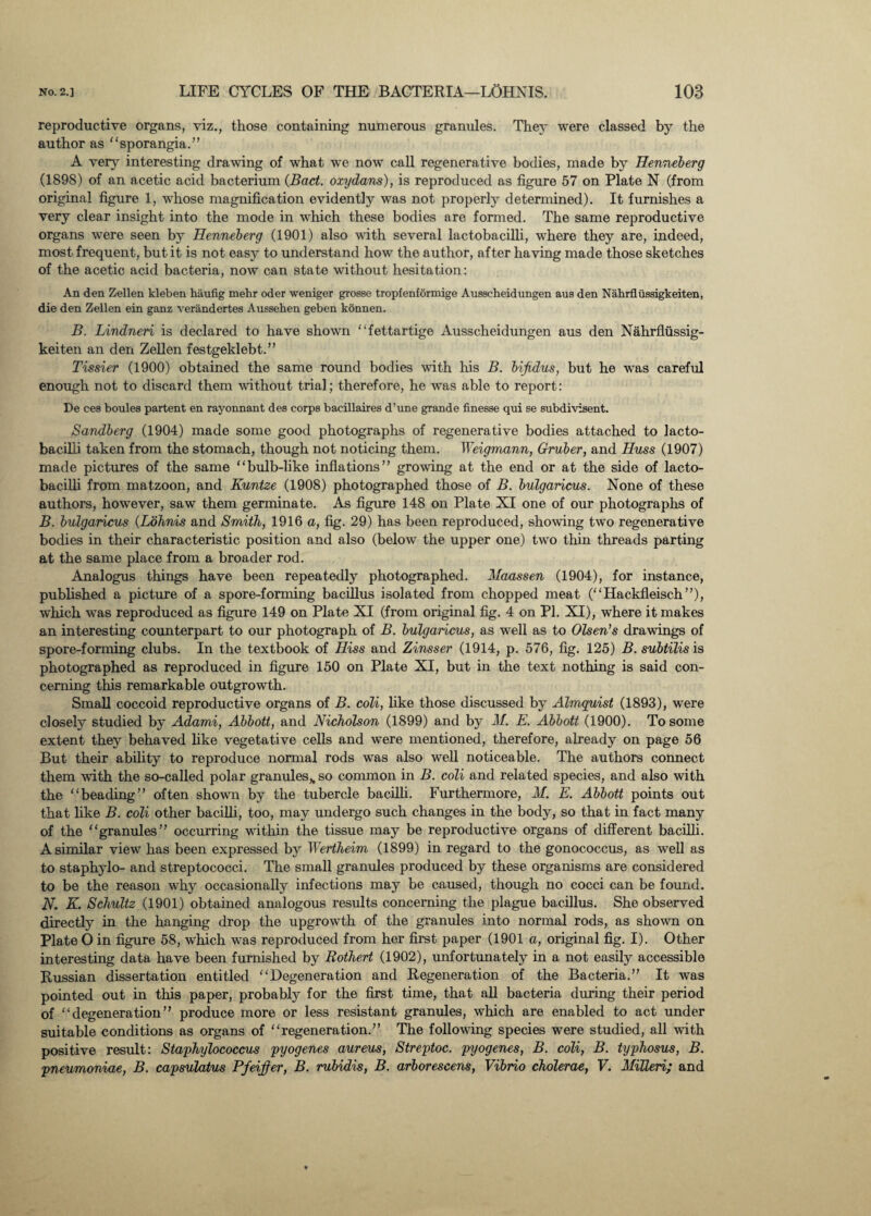 reproductive organs, viz., those containing numerous granules. The}' were classed by the author as sporangia.” A very interesting drawing of what we now call regenerative bodies, made by Henneberg (1898) of an acetic acid bacterium {Bad. oxydans), is reproduced as figure 57 on Plate N (from original figure 1, whose magnification evidently was not properly determined). It furnishes a very clear insight into the mode in which these bodies are formed. The same reproductive organs were seen by Henneberg (1901) also with several lactobacilli, where they are, indeed, most frequent, but it is not easy to understand how the author, after having made those sketches of the acetic acid bacteria, now can state without hesitation: An den Zellen kleben haufig mehr oder weniger grosse tropfenformige Ausscheidungen aus den Nahrflussigkeiten, die den Zellen ein ganz verandertes Aussehen geben konnen. B. Lindneri is declared to have shown fettartige Ausscheidungen aus den Nahrflussig¬ keiten an den Zellen festgeklebt.” Tissier (1900) obtained the same round bodies with his B. bijidus, but he was careful enough not to discard them without trial; therefore, he was able to report: De ces boules partent en rayonnant des corps bacillaires d’une grande finesse qui se subdivisent. Sandberg (1904) made some good photographs of regenerative bodies attached to lacto¬ bacilli taken from the stomach, though not noticing them. Weigmann, Gruber, and TIuss (1907) made pictures of the same bulb-like inflations” growing at the end or at the side of lacto¬ bacilli from matzoon, and Kuntze (1908) photographed those of B. bulgaricus. None of these authors, however, saw them germinate. As figure 148 on Plate XI one of our photographs of B. bulgaricus {Lohnis and Smith, 1916 a, fig. 29) has been reproduced, showing two regenerative bodies in their characteristic position and also (below the upper one) two thin threads parting at the same place from a broader rod. Analogus things have been repeatedly photographed. Maassen (1904), for instance, published a picture of a spore-forming bacillus isolated from chopped meat (Hackfleisch”), which was reproduced as figure 149 on Plate XI (from original fig. 4 on PI. XI), where it makes an interesting counterpart to our photograph of B. bulgaricus, as well as to Olsen’s drawings of spore-forming clubs. In the textbook of Hiss and Zinsser (1914, p. 576, fig. 125) B. subtilis is photographed as reproduced in figure 150 on Plate XI, but in the text nothing is said con¬ cerning this remarkable outgrowth. Small coccoid reproductive organs of B. coli, like those discussed by Almquist (1893), were closely studied by Adami, Abbott, and Nicholson (1899) and by M. E. Abbott (1900). To some extent they behaved like vegetative cells and were mentioned, therefore, already on page 56 But their ability to reproduce normal rods was also well noticeable. The authors connect them with the so-called polar granules,, so common in B. coli and related species, and also with the beading” often shown by the tubercle bacilli. Furthermore, M. E. Abbott points out that like B. coli other bacilli, too, may undergo such changes in the body, so that in fact many of the granules” occurring within the tissue may be reproductive organs of different bacilli. A similar view has been expressed by Wertheim (1899) in regard to the gonococcus, as well as to staphylo- and streptococci. The small granules produced by these organisms are considered to be the reason why occasionally infections may be caused, though no cocci can be found. N. K. Schultz (1901) obtained analogous results concerning the plague bacillus. She observed directly in the hanging drop the upgrowth of the granules into normal rods, as shown on Plate O in figure 58, which was reproduced from her first paper (1901 a, original fig. I). Other interesting data have been furnished by Rothert (1902), unfortunately in a not easily accessible Russian dissertation entitled Degeneration and Regeneration of the Bacteria.” It was pointed out in this paper, probably for the first time, that all bacteria during their period of degeneration” produce more or less resistant granules, which are enabled to act under suitable conditions as organs of regeneration.” The following species were studied, all with positive result: Staphylococcus pyogenes aureus, Streptoc. pyogenes, B. coli, B. typhosus, B. pneumoniae, B. capsulatus Pfeifer, B. rubidis, B. arborescens, Vibrio cholerae, V. MiTleri; and