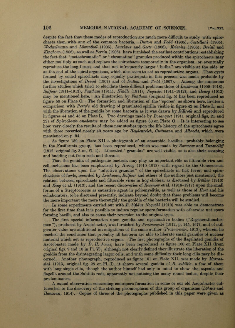 despite the fact that these modes of reproduction are much more difficult to study with spiro- chaets than with any of the common bacteria. Dutton and Todd (1905), CasteTlani (1905), Wechselmann and Lowenthal (1905), Leuriaux and Oeets (1906), Krienitz (1906), Breinl and Kinghorn (1906), as well as Perrin (1906), have furnished the earliest contributions, establishing the fact that “ metachromatic ” or “chromatine” granules produced within the spirochaets may either multiply as such and replace the spirochaets temporarily in the organism, or eventually reproduce the long forms, and that not infrequently larger '‘bulbs” are visible at the side or at the end of the spiral organisms, which also seem to act as reproductive organs. That cysts formed by coiled spirochaets may equally participate in this process was made probable by the investigations of Breinl (1907) and of Dutton and Todd (1907). Among the numerous further studies which tried to elucidate these difficult problems those of Leishman (1909-1918), Balfour (1911-1913), Fantham (1911), Hindle (1911), Noguchi (1911-1912), and Henry (1913) may be mentioned here. An illustration by Fantham (original fig. 5) has been reproduced as figure 59 on Pkqe O. The formation and liberation of the “spores” as shown here, invites a comparison with Perty’s old drawing of granulated spirilla visible in figure 42 on Plate L, and with the liberation of the gonidia by some bacteria as it was drawn by Billroth and reproduced in figures 44 and 45 on Plate L. Two drawings made by Bosanquet (1911 original figs. 21 and 22) of Spirochaeta anodontae may be added as figure 60 on Plate O. It is interesting to see how very closely the results of these new studies upon the life history of the spirochaets agree with those recorded nearly 40 years ago by Heydenreich, Outtmann and Albrecht, which were mentioned on p. 94. As figure 159 on Plate XII a photograph of an anaerobic bacillus, probably belonging in the Fusiformis group, has been reproduced, which was made by Rosenow and Tunnicliff (1912, original fig. 3 on PI. I). Liberated “granules” are well visible, as is also their escaping and budding out from rods and threads. That the gonidia of pathogenic bacteria may play an important r61e as filterable vira and cell inclusions has been emphasized by Herzog (1910-1913) with regard to the Gonococcus. The observations upon the “infective granules” of the spirochaets in tick fever, and spiro- chaetosis of fowls, recorded by Leishman, Balfour and others of the authors just mentioned, the relation between spirochaets and filterable virus in hog cholera, as discussed by Riither (1910) and King et al. (1913), and the recent discoveries of Rosenow etal. (1916-1917) upon the small forms of a Streptococcus as causative agent in poliomyelitis, as well as those of Hort and his collaborators, to be discussed presently, indicate beyond doubt that these problems will become the more important the more thoroughly the gonidia of the bacteria will be studied. In some experiments carried out with B. bifidus Noguchi (1910) was able to demonstrate for the first time that it is possible to induce regular spore formation with otherwise not spore forming bacilli, and also to cause their reversion to the original type. The first special information upon gonidia and regenerative bodies (“Regenerationsfor- men”), produced by Azotobacter, was furnished by Prazmowski (1912, p. 145, 167), and of still greater value are additional investigations of the same author (Prazmowslci, 1913), wherein he reached the conclusion that probably all bacteria are able to liberate small granules of nuclear material which act as reproductive organs. The first photographs of the flagellated gonidia of Azotobacter made by D. H. Jones, have been reproduced as figure 160 on Plate XII (from original figs. 9 and 10 in PI. V); although not clearly defined they illustrate the liberation of the gonidia from the disintegrating larger cells, and with some difficulty their long cilia may be dis¬ cerned. Another photograph, reproduced as figure 161 on Plate XII, was made by Marras- sini (1913, original fig. 28 on PL I); it shows several gonidia of B. subtilis, a few of them with long single cilia, though the author himself had only in mind to show the capsule and flagella around the Subtilis rods, apparently not noticing the many round bodies, despite their predominance. A casual observation concerning endospore formation in some or our old Azotobacter cul¬ tures led to the discovery of the striking pleomorphism of this group of organisms (Lohnis and Hanzawa, 1914). Copies of three of the photographs published in this paper were given as