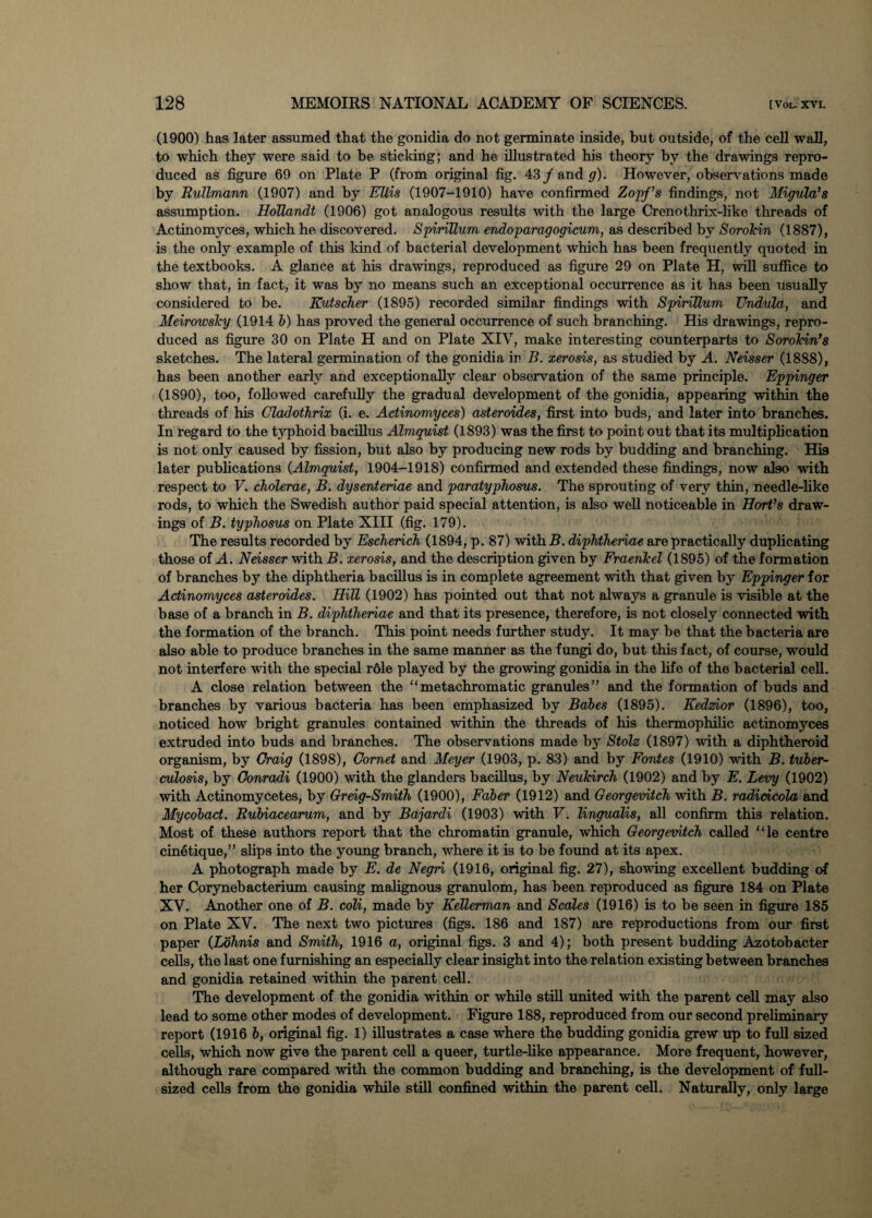 (1900) has later assumed that the gonidia do not germinate inside, but outside, of the cell wall, to which they were said to be sticking; and he illustrated his theory by the drawings repro¬ duced as figure 69 on Plate P (from original fig. 43/ and g). However, observations made by Rullmann (1907) and by Ellis (1907-1910) have confirmed Zopf’s findings, not Migula’s assumption. Hollandt (1906) got analogous results with the large Crenothrix-like threads of Actinomyces, which he discovered. Spirillum endoparagogicum, as described by Sorokin (1887), is the only example of this kind of bacterial development which has been frequently quoted in the textbooks. A glance at his drawings, reproduced as figure 29 on Plate H, will suffice to show that, in fact, it was by no means such an exceptional occurrence as it has been usually considered to be. Kutscher (1895) recorded similar findings with Spirillum TJndulo., and Meirowsky (1914 b) has proved the general occurrence of such branching. His drawings, repro¬ duced as figure 30 on Plate H and on Plate XIY, make in teres ting counterparts to Sorokin’s sketches. The lateral germination of the gonidia iu B. xerosis, as studied by A. Neisser (1888), has been another early and exceptionally clear observation of the same principle. Eppinger (1890), too, followed carefully the gradual development of the gonidia, appearing within the threads of his Cladothrix (i. e. Actinomyces) asteroides, first into buds, and later into branches. In regard to the typhoid bacillus Almguist (1893) was the first to point out that its multiplication is not only caused by fission, but also by producing new rods by budding and branching. Hi9 later publications (Almguist, 1904-1918) confirmed and extended these findings, now also with respect to V. cholerae, B. dysenteriae and paratyphosus. The sprouting of very thin, needle-like rods, to which the Swedish author paid special attention, is also well noticeable in Hort’s draw¬ ings of B. typhosus on Plate XIII (fig. 179). The results recorded by Escherich (1894, p. 87) with B. diphtheriae are practically duplicating those of A. Neisser with B. xerosis, and the description given by Fraenkel (1895) of the formation of branches by the diphtheria bacillus is in complete agreement with that given by Eppinger for Actinomyces asteroides. Hill (1902) has pointed out that not always a granule is visible at the base of a branch in B. diphtheriae and that its presence, therefore, is not closely connected with the formation of the branch. This point needs further study. It may be that the bacteria are also able to produce branches in the same manner as the fungi do, but this fact, of course, would not interfere with the special r6le played by the growing gonidia in the life of the bacterial cell. A close relation between the “metachromatic granules” and the formation of buds and branches by various bacteria has been emphasized by Babes (1895). Kedzior (1896), too, noticed how bright granules contained within the threads of his thermophilic actinomyces extruded into buds and branches. The observations made by Stolz (1897) with a diphtheroid organism, by Craig (1898), Comet and Meyer (1903, p. 83) and by Fontes (1910) with B. tuber¬ culosis, by Conradi (1900) with the glanders bacillus, by Neukirch (1902) and by E. Levy (1902) with Actinomycetes, by Greig-Smith (1900), Faber (1912) and Georgevitch with B. radicicola and Mycobact. Rubiacearum, and by Bajardi (1903) with V. lingualis, all confirm this relation. Most of these authors report that the chromatin granule, which Georgevitch called “le centre cinetique,” slips into the young branch, where it is to be found at its apex. A photograph made by E. de Negri (1916, original fig. 27), showing excellent budding of her Corynebacterium causing malignous granulom, has been reproduced as figure 184 on Plate XV. Another one of B. coli, made by Kellerman and Scales (1916) is to be seen in figure 185 on Plate XV. The next two pictures (figs. 186 and 187) are reproductions from our first paper CLohnis and Smith, 1916 a, original figs. 3 and 4); both present budding Azotobacter cells, the last one furnishing an especially clear insight into the relation existing between branches and gonidia retained within the parent cell. The development of the gonidia within or while still united with the parent cell may also lead to some other modes of development. Figure 188, reproduced from our second preliminary report (1916 b, original fig. 1) illustrates a case where the budding gonidia grew up to full sized cells, which now give the parent cell a queer, turtle-like appearance. More frequent, however, although rare compared with the common budding and branching, is the development of full- sized cells from the gonidia while still confined within the parent cell. Naturally, only large
