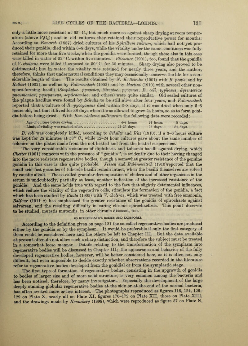 only a little more resistant at 65° C., but much more so against sharp drying at room temper¬ ature (above P205); and in old cultures they retained their reproductive power for months. According to Esmarch (1887) dried cultures of his Spirillum rubrum. which had not yet pro¬ duced their gonidia, died within 6-8 days, while the vitality under the same conditions was fully retained for more than five weeks, when the gonidia were formed, though these also in this case were killed in water of 52° C. within five minutes. Bliesener (1901), too, found that the gonidia of V. cholerae were killed if exposed to 50° C. for 30 minutes. Sharp drying also proved to be detrimental; but in water the vitahty was retained for nearly three years, and the author, therefore, thinks that under natural conditions they may occasionally conserve the life for a con¬ siderable length of time. The results obtained by N. K. Schultz (1901) with B. pestis, and by Rothert (1902), as well as by Fedorowitsch (1902) and by Martini (1910) with several other non¬ spore-forming bacilli (Staphyloc. pyogenes, Streptoc. pyogenes, B. coli, typhosus, dysenteriae pneumoniae, pyocyaneus, septicaemiae, and others) were quite similar. Old sealed cultures of the plague bacillus were found by Schultz to be still alive after four years, and Fedorowitsch reported that a culture of B. pyocyaneus died within 3-8 days, if it was dried when only 5-6 hours old, but that it lived for 38 days when it was allowed to grow 24 hours, so as to form goni¬ dia before being dried. With Bac. cholerae gaTlinarum the following data were recorded: Age of culture before drying. 4-8 hours. 24 hours. 5 days. Limit of vitality was reached after. 22-25 days. 97 days. 84 days. B. coli was completely killed, according to Schultz and Ritz (1910), if a 3-6 hours culture was kept for 25 minutes at 53° C., while 12-24 hour cultures gave about the same number of colonies on the plates made from the not heated and from the heated suspensions. The very considerable resistance of diphtheria and tubercle bacilli against drying, which Chester (1901) connects with the presence of gonidia”, is evidently due to their having changed into the more resistant regenerative bodies, though a somewhat greater resistance of the genuine gonidia in this case is also quite probable. Jessen and Rabinowitsch (1910)reported that the small acid-fast granules of tubercle bacilli remain intact, when the bacilli themselves are solved by caustic alkali. The so-called granular decomposition of cholera and of other organisms in the serum is undoubtedly, partially at least, another indication of the increased resistance of the gonidia. And the same holds true with regard to the fact that slightly detrimental influences, which reduce the vitahty of the vegetative cells, stimulate the formation of the gonidia, a fact which has been studied by Ruata (1905) with V. cholerae, which was treated with free ammonia. Balfour (1911 a) has emphasized the greater resistance of the gonidia of spirochaets against salvarsan, and the resulting difficulty in curing chronic spirochaetosis. This point deserves to be studied, mutatis mutandis, in other chronic diseases, too. (2) REGENERATIVE BODIES AND EXOSPORES. According to the definition given on page 121 the so-called regenerative bodies are produced either by the gonidia or by the symplasm. It would be preferable if only the first category of them could be considered here and the others be left to Chapter III. But the data available at present often do not allow such a sharp distinction, and therefore the subject must be treated in a somewhat loose manner. Details relating to the transformation of the symplasm into regenerative bodies will be discussed in Chapter III; the appearance and behavior of the fully developed regenerative bodies, however, will be better considered here, as it is often not only difficult, but even impossible to decide exactly whether observations recorded in the literature refer to regenerative bodies developed from the gonidial or from the symplastic stage. The first type of formation of regenerative bodies, consisting in the upgrowth of gonidia to bodies of larger size and of more solid structure, is very common among the bacteria and has been noticed, therefore, by many investigators. Especially the development of the large deeply staining globular regenerative bodies at the side or at the end of the normal bacteria, has often evoked more or less interest. The photographs reproduced as figures 116, 124, 126- 129 on Plate X, nearly all on Plate XI, figures 170-172 on Plate XII, those on Plate XIII, and the drawings made by Henneberg (1898), which were reproduced as figure 57 on Plate N,