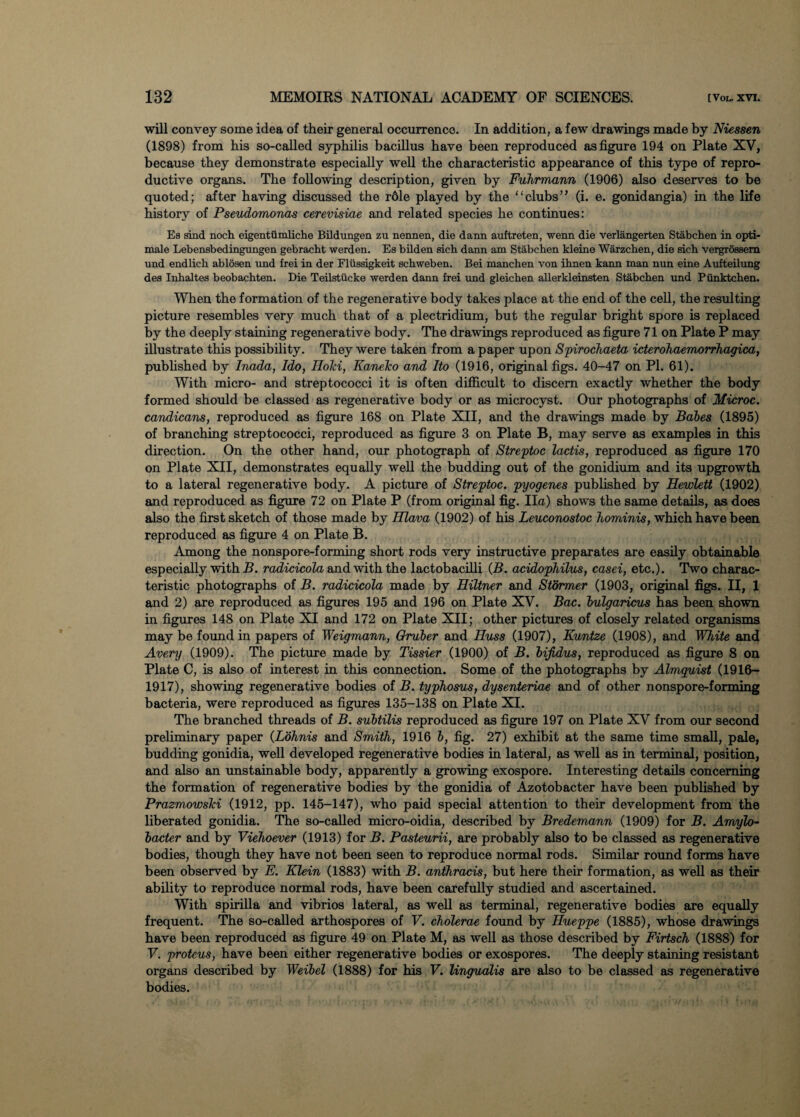 will convey some idea of their general occurrence. In addition, a few drawings made by Niessen (1898) from his so-called syphilis bacillus have been reproduced as figure 194 on Plate XV, because they demonstrate especially well the characteristic appearance of this type of repro¬ ductive organs. The following description, given by Fuhrmann (1906) also deserves to be quoted; after having discussed the r61e played by the “clubs” (i. e. gonidangia) in the life history of Pseudomonas cerevisiae and related species he continues: Es sind noch. eigentiimliche Bildungen zu nennen, die dann auftreten, wenn die verlangerten Stabchen in opti- male Lebensbedingungen gebracht werden. Es bilden sich dann am Stabcben kleine Warzcben, die sich vergrossem und endlicb ablosen und frei in der Fliissigkeit scbweben. Bei manchen von ihnen kann man nun eine Aufteilung des Inbaltes beobacbten. Die Teilstiicke werden dann frei und gleichen allerkleinsten Stabcben und Piinktchen. When the formation of the regenerative body takes place at the end of the cell, the resulting picture resembles very much that of a plectridium, but the regular bright spore is replaced by the deeply staining regenerative body. The drawings reproduced as figure 71 on Plate P may illustrate this possibility. They were taken from a paper upon Spirochaeta icterohaemorrhagica, published by Inada, Ido, Hold, Kaneko and Ito (1916, original figs. 40-47 on PI. 61). With micro- and streptococci it is often difficult to discern exactly whether the body formed should be classed as regenerative body or as microcyst. Our photographs of Microc. candicans, reproduced as figure 168 on Plate XII, and the drawings made by Babes (1895) of branching streptococci, reproduced as figure 3 on Plate B, may serve as examples in this direction. On the other hand, our photograph of Streptoc lactis, reproduced as figure 170 on Plate XII, demonstrates equally well the budding out of the gonidium and its upgrowth to a lateral regenerative body. A picture of Streptoc. pyogenes published by Hewlett (1902) and reproduced as figure 72 on Plate P (from original fig. Ila) shows the same details, as does also the first sketch of those made by Hlava (1902) of his Leuconostoc hominis, which have been reproduced as figure 4 on Plate B. Among the nonspore-forming short rods very instructive preparates are easily obtainable especially with B. radicicola and with the lactobacilli (B. acidophilus, casei, etc.). Two charac¬ teristic photographs of B. radicicola made by Hiltner and Stormer (1903, original figs. II, 1 and 2) are reproduced as figures 195 and 196 on Plate XV. Bac. bulgaricus has been shown in figures 148 on Plate XI and 172 on Plate XII; other pictures of closely related organisms may be found in papers of Weigmann, Gruber and Huss (1907), Kuntze (1908), and White and Avery (1909). The picture made by Tissier (1900) of B. bijidus, reproduced as figure 8 on Plate C, is also of interest in this connection. Some of the photographs by Almguist (1916- 1917), showing regenerative bodies of B. typhosus, dysenteriae and of other nonspore-forming bacteria, were reproduced as figures 135-138 on Plate XI. The branched threads of B. subtilis reproduced as figure 197 on Plate XV from our second preliminary paper (Lohnis and Smith, 1916 b, fig. 27) exhibit at the same time small, pale, budding gonidia, well developed regenerative bodies in lateral, as well as in terminal, position, and also an unstainable body, apparently a growing exospore. Interesting details concerning the formation of regenerative bodies by the gonidia of Azotobacter have been published by Prazmowski (1912, pp. 145-147), who paid special attention to their development from the liberated gonidia. The so-called micro-oidia, described by Bredemann (1909) for B. Amylo- bacter and by Viehoever (1913) for B. Pasteurii, are probably also to be classed as regenerative bodies, though they have not been seen to reproduce normal rods. Similar round forms have been observed by E. Klein (1883) with B. anthracis, but here their formation, as well as their ability to reproduce normal rods, have been carefully studied and ascertained. With spirilla and vibrios lateral, as well as terminal, regenerative bodies are equally frequent. The so-called arthospores of V. cholerae found by Hueppe (1885), whose drawings have been reproduced as figure 49 on Plate M, as well as those described by Firtsch (1888) for V. protcus, have been either regenerative bodies or exospores. The deeply staining resistant organs described by Weibel (1888) for his V. lingualis are also to be classed as regenerative