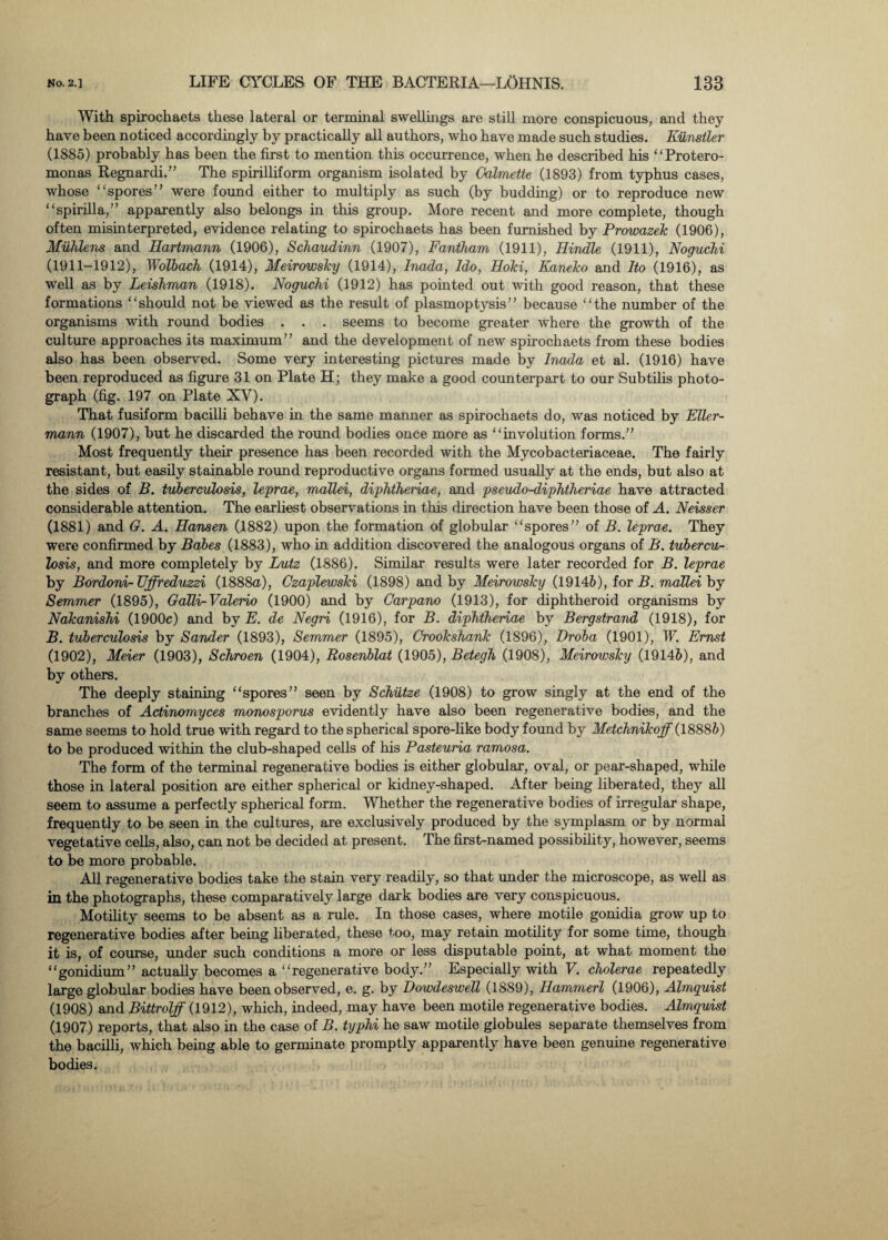 With spirochaets these lateral or terminal swellings are still more conspicuous, and they have been noticed accordingly by practically all authors, who have made such studies. Kiinstler (1885) probably has been the first to mention this occurrence, when he described his “Protero- monas Regnardi.” The spirilliform organism isolated by Oalmette (1893) from typhus cases, whose “spores” were found either to multiply as such (by budding) or to reproduce new “spirilla,” apparently also belongs in this group. More recent and more complete, though often misinterpreted, evidence relating to spirochaets has been furnished by Prowazek (1906), Muhlens and Hartmann (1906), Schaudinn (1907), Fantham (1911), Hindle (1911), Noguchi (1911-1912), Wolbach (1914), Meirowsky (1914), Inada, Ido, Hoki, Kaneko and Ito (1916), as well as by Leishman (1918). Noguchi (1912) has pointed out with good reason, that these formations “should not be viewed as the result of plasmoptysis” because “the number of the organisms with round bodies . . . seems to become greater where the growth of the culture approaches its maximum” and the development of new spirochaets from these bodies also has been observed. Some very interesting pictures made by Inada et al. (1916) have been reproduced as figure 31 on Plate H; they make a good counterpart to our Subtilis photo¬ graph (fig. 197 on Plate XY). That fusiform bacilli behave in the same manner as spirochaets do, was noticed by Eller- mann (1907), but he discarded the round bodies once more as “involution forms.” Most frequently their presence has been recorded with the Mycobacteriaceae. The fairly resistant, but easily stainable round reproductive organs formed usually at the ends, but also at the sides of B. tuberculosis, leprae, mallei, diphtheriae, and pseudo-diphtheriae have attracted considerable attention. The earliest observations in this direction have been those of A. Neisser (1881) and G. A. Hansen (1882) upon the formation of globular “spores” of B. leprae. They were confirmed by Babes (1883), who in addition discovered the analogous organs of B. tubercu¬ losis, and more completely by Lutz (1886). Similar results were later recorded for B. leprae by Bordoni- TJffreduzzi (1888a), Czaplewski (1898) and by Meirowsky (19146), for B. mallei by Semmer (1895), Galli-Valerio (1900) and by Carpano (1913), for diphtheroid organisms by Nakanishi (1900c) and by E. de Negri (1916), for B. diphtheriae by Bergstrand (1918), for B. tuberculosis by Sander (1893), Semmer (1895), Crookshank (1896), Droba (1901), W. Ernst (1902), Meier (1903), Schroen (1904), Rosenblat (1905), Betegh (1908), Meirowsky (19146), and by others. The deeply staining “spores” seen by Schutze (1908) to grow singly at the end of the branches of Actinomyces monosporus evidently have also been regenerative bodies, and the same seems to hold true with regard to the spherical spore-like body found by Metchnikoff (18886) to be produced within the club-shaped cells of his Pasteuria ramosa. The form of the terminal regenerative bodies is either globular, oval, or pear-shaped, while those in lateral position are either spherical or kidney-shaped. After being liberated, they all seem to assume a perfectly spherical form. Whether the regenerative bodies of irregular shape, frequently to be seen in the cultures, are exclusively produced by the symplasm or by normal vegetative cells, also, can not be decided at present. The first-named possibility, however, seems to be more probable. All regenerative bodies take the stain very readily, so that under the microscope, as well as in the photographs, these comparatively large dark bodies are very conspicuous. Motility seems to be absent as a ride. In those cases, where motile gonidia grow up to regenerative bodies after being liberated, these too, may retain motility for some time, though it is, of course, under such conditions a more or less disputable point, at what moment the “gonidium” actually becomes a “regenerative body.” Especially with V. cholerae repeatedly large globular bodies have been observed, e. g. by Dowdeswell (1889), Hammerl (1906), Almquist (1908) and Bittrolff (1912), which, indeed, may have been motile regenerative bodies. Almquist (1907) reports, that also in the case of B. typhi he saw motile globules separate themselves from the bacilli, which being able to germinate promptly apparently have been genuine regenerative