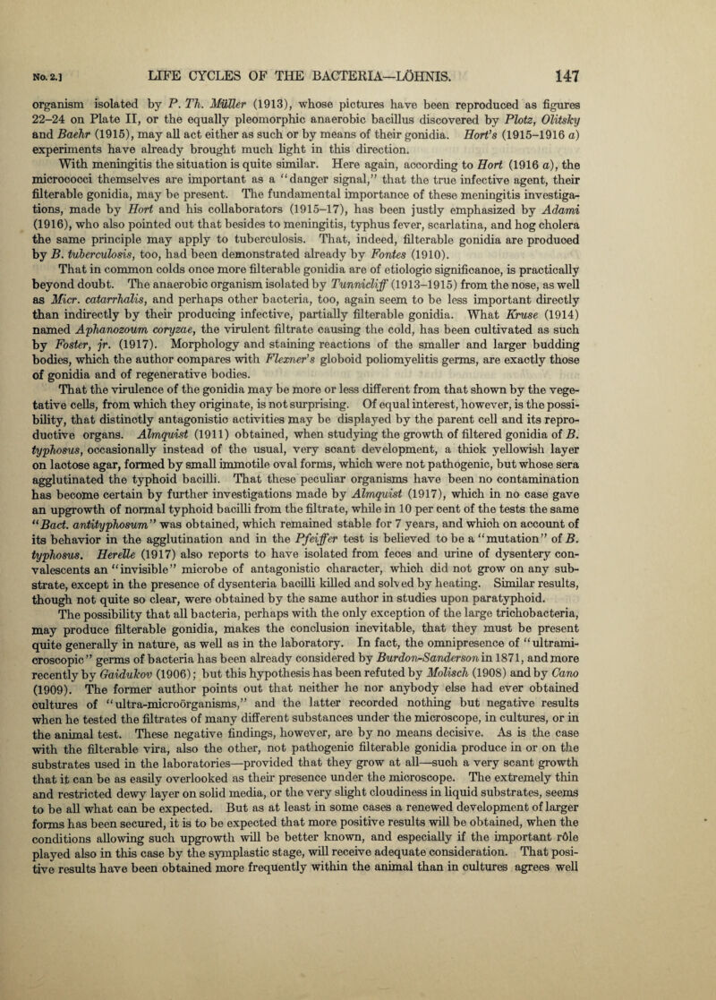 organism isolated by P. Th. Muller (1913), whose pictures have been reproduced as figures 22-24 on Plate II, or the equally pleomorphic anaerobic bacillus discovered by Plotz, Olitsky and Baehr (1915), may all act either as such or by means of their gonidia. Hort’s (1915-1916 a) experiments have already brought much light in this direction. With meningitis the situation is quite similar. Here again, according to Port (1916 a), the micrococci themselves are important as a danger signal,” that the true infective agent, their filterable gonidia, may be present. The fundamental importance of these meningitis investiga¬ tions, made by Port and his collaborators (1915-17), has been justly emphasized by Adami (1916), who also pointed out that besides to meningitis, typhus fever, scarlatina, and hog cholera the same principle may apply to tuberculosis. That, indeed, filterable gonidia are produced by B. tuberculosis, too, had been demonstrated already by Fontes (1910). That in common colds once more filterable gonidia are of etiologio significance, is practically beyond doubt. The anaerobic organism isolated by Tunnicliff (1913-1915) from the nose, as well as Micr. catarrhalis, and perhaps other bacteria, too, again seem to be less important directly than indirectly by their producing infective, partially filterable gonidia. What Kruse (1914) named Aphanozoum coryzae, the virulent filtrate causing the cold, has been cultivated as such by Foster, jr. (1917). Morphology and staining reactions of the smaller and larger budding bodies, which the author compares with Flexner’s globoid poliomyelitis germs, are exaotly those of gonidia and of regenerative bodies. That the virulence of the gonidia may be more or less different from that shown by the vege¬ tative cells, from which they originate, is not surprising. Of equal interest, however, is the possi¬ bility, that distinctly antagonistic activities may be displayed by the parent cell and its repro¬ ductive organs. Almquist (1911) obtained, when studying the growth of filtered gonidia of B. typhosus, occasionally instead of the usual, very scant development, a thiok yellowish layer on lactose agar, formed by small immotile oval forms, which were not pathogenic, but whose sera agglutinated the typhoid bacilli. That these peculiar organisms have been no contamination has become certain by further investigations made by Almquist (1917), which in no case gave an upgrowth of normal typhoid bacilli from the filtrate, while in 10 per cent of the tests the same “Bad. antityphosum” was obtained, which remained stable for 7 years, and whioh on account of its behavior in the agglutination and in the Pfeiffer test is believed to be a mutation” of B. typhosus. Perelle (1917) also reports to have isolated from feoes and urine of dysentery con¬ valescents an invisible” microbe of antagonistic character, whioh did not grow on any sub¬ strate, except in the presence of dysenteria baoilli killed and solved by heating. Similar results, though not quite so clear, were obtained by the same author in studies upon paratyphoid. The possibility that all bacteria, perhaps with the only exception of the large trichobacteria, may produce filterable gonidia, makes the conclusion inevitable, that they must be present quite generally in nature, as well as in the laboratory. In fact, the omnipresence of ultrami- croscopic” germs of bacteria has been already considered by Burdon-Sanderson in 1871, and more recently by Gaidukov (1906); but this hypothesis has been refuted by Molisch (1908) and by Cano (1909). The former author points out that neither he nor anybody else had ever obtained cultures of ultra-microorganisms,” and the latter recorded nothing but negative results when he tested the filtrates of many different substances under the microscope, in cultures, or in the animal test. These negative findings, however, are by no means decisive. As is the case with the filterable vira, also the other, not pathogenic filterable gonidia produce in or on the substrates used in the laboratories—provided that they grow at all—such a very scant growth that it can be as easily overlooked as their presence under the microscope. The extremely thin and restricted dewy layer on solid media, or the very slight cloudiness in liquid substrates, seems to be all what can be expected. But as at least in some cases a renewed development of larger forms has been secured, it is to be expected that more positive results will be obtained, when the conditions allowing such upgrowth will be better known, and especially if the important role played also in this case by the symplastic stage, will receive adequate consideration. That posi¬ tive results have been obtained more frequently within the animal than in oultures agrees well