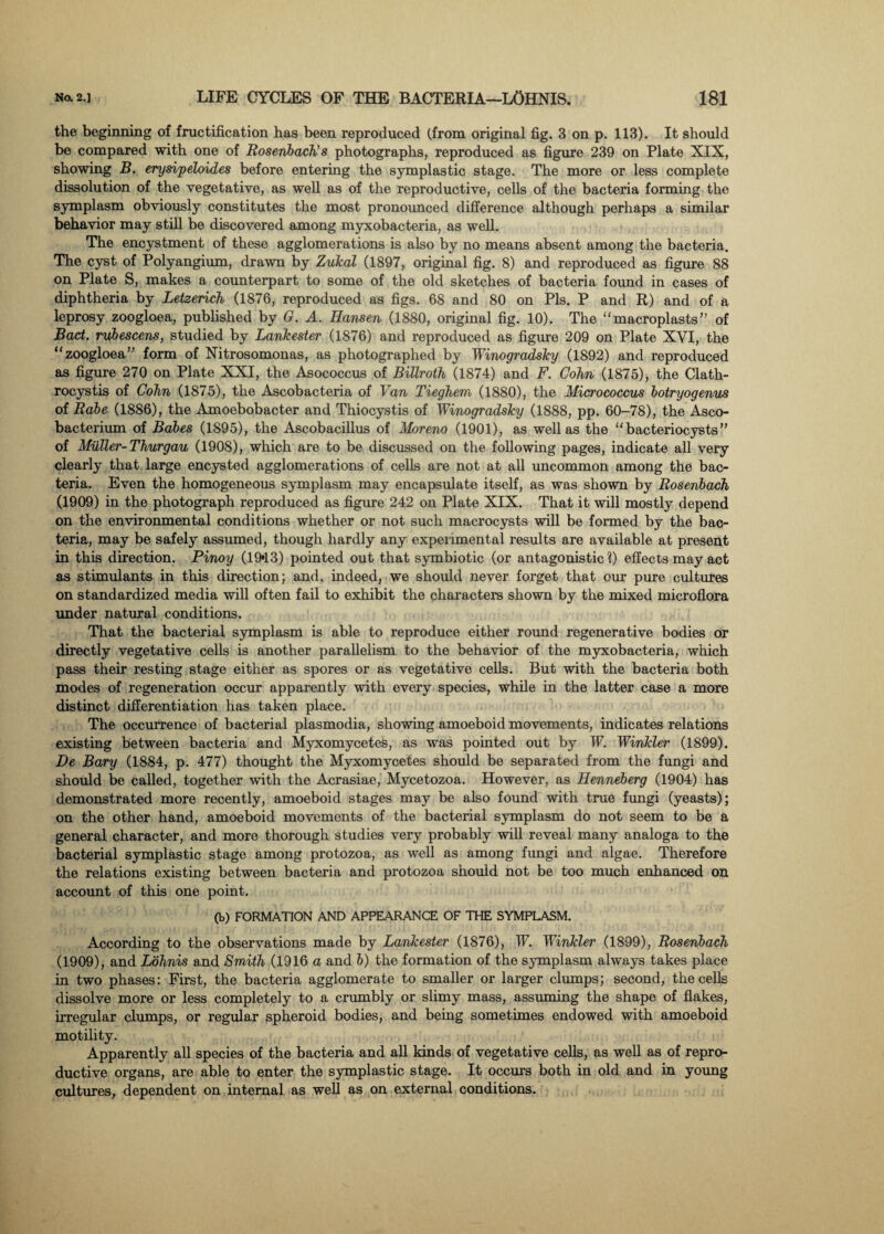 the beginning of fructification has been reproduced (.from original fig. 3 on p. 113). It should be compared with one of Rosenbach! s photographs, reproduced as figure 239 on Plate XIX, showing B. erysipeloides before entering the symplastic stage. The more or less complete dissolution of the vegetative, as well as of the reproductive, cells of the bacteria forming the symplasm obviously constitutes the most pronounced difference although perhaps a similar behavior may still be discovered among myxobacteria, as well. The encystment of these agglomerations is also by no means absent among the bacteria. The cyst of Polyangium, drawn by Zukal (1897, original fig. 8) and reproduced as figure 88 on Plate S, makes a counterpart to some of the old sketches of bacteria found in cases of diphtheria by Letzerich (1876, reproduced as figs. 68 and 80 on Pis. P and R) and of a leprosy zoogloea, published by G. A. Hansen (1880, original fig. 10). The “macroplasts” of Bad. rubescens, studied by Lankester (1876) and reproduced as figure 209 on Plate XVI, the “zoogloea” form of Nitrosomonas, as photographed by Winogradsky (1892) and reproduced as figure 270 on Plate XXI, the Asococcus of Billroth (1874) and F. Cohn (1875), the Clath- rocystis of Cohn (1875), the Ascobacteria of Van Tieghem (1880), the Micrococcus botryogenus of Robe (1886), the Amoebobacter and Thiocystis of Winogradsky (1888, pp. 60-78), the Asco- bacterium of Babes (1895), the Ascobacillus of Moreno (1901), as well as the “bacteriocysts” of Muller-Thurgau (1908), which are to be discussed on the following pages, indicate all very clearly that large encysted agglomerations of cells are not at all uncommon among the bac¬ teria. Even the homogeneous symplasm may encapsulate itself, as was shown by Rosenbach (1909) in the photograph reproduced as figure 242 on Plate XIX. That it will mostly depend on the environmental conditions whether or not such macrocysts will be formed by the bac¬ teria, may be safely assumed, though hardly any experimental results are available at present in this direction. Pinoy (19*13) pointed out that symbiotic (or antagonistic?) effects may act as stimulants in this direction; and. indeed, we should never forget that our pure cultures on standardized media will often fail to exhibit the characters shown by the mixed microflora under natural conditions. That the bacterial symplasm is able to reproduce either round regenerative bodies or directly vegetative cells is another parallelism to the behavior of the myxobacteria, which pass their resting stage either as spores or as vegetative cells. But with the bacteria both modes of regeneration occur apparently with every species, while in the latter case a more distinct differentiation has taken place. The occurrence of bacterial plasmodia, showing amoeboid movements, indicates relations existing between bacteria and Myxomycetes, as was pointed out by IF. Winkler (1899). De Bary (1884, p. 477) thought the Myxomycetes should be separated from the fungi and should be called, together with the Acrasiae, Mycetozoa. However, as Henneberg (1904) has demonstrated more recently, amoeboid stages may be also found with true fungi (yeasts); on the other hand, amoeboid movements of the bacterial symplasm do not seem to be a general character, and more thorough studies very probably will reveal many analoga to the bacterial symplastic stage among protozoa, as well as among fungi and algae. Therefore the relations existing between bacteria and protozoa should not be too much enhanced on account of this one point. (b) FORMATION AND APPEARANCE OF THE SYMPLASM. According to the observations made by Lankester (1876), IF. Winkler (1899), Rosenbach (1909), and Lohnis and Smith (1916 a and b) the formation of the symplasm always takes place in two phases: First, the bacteria agglomerate to smaller or larger clumps; second, the cells dissolve more or less completely to a crumbly or slimy mass, assuming the shape of flakes, irregular clumps, or regular spheroid bodies, and being sometimes endowed with amoeboid motility. Apparently all species of the bacteria and all kinds of vegetative cells, as well as of repro¬ ductive organs, are able to enter the symplastic stage. It occurs both in old and in young cultures, dependent on internal as well as on external conditions.