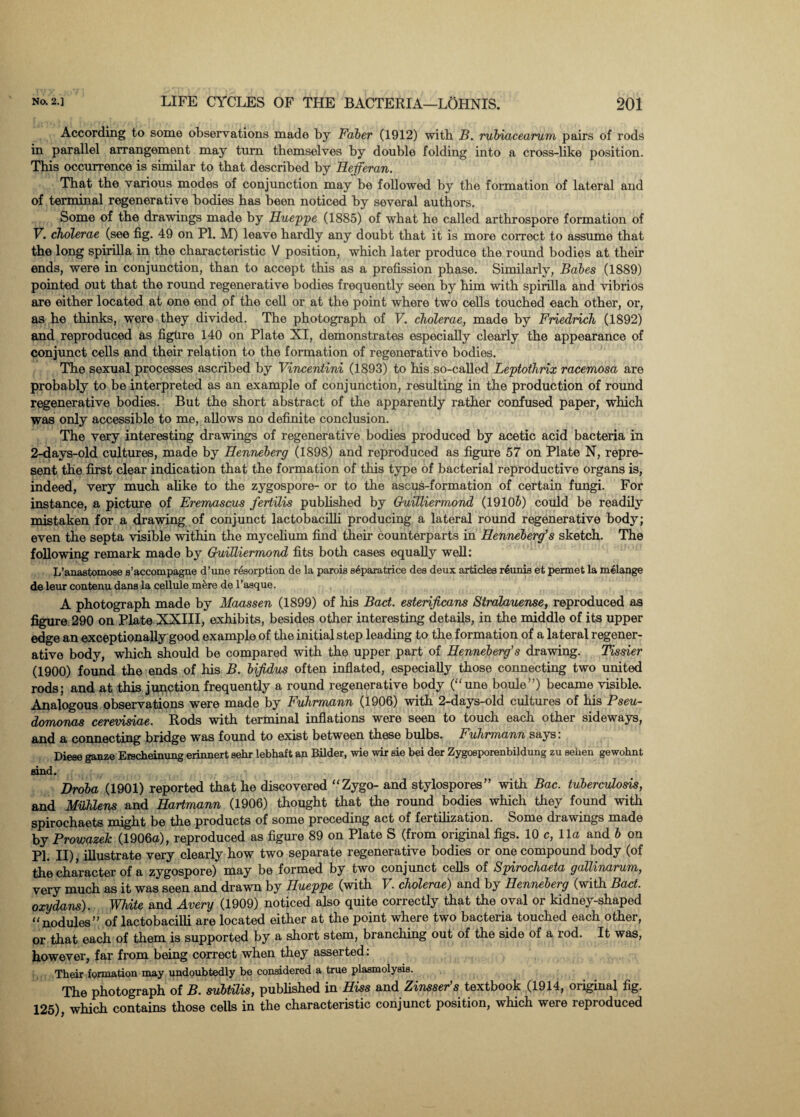 According to some observations made by Faber (1912) with B. rubiacearum pairs of rods in parallel arrangement may turn themselves by double folding into a cross-like position. This occurrence is similar to that described by Hefferan. That the various modes of conjunction may be followed by the formation of lateral and of terminal regenerative bodies has been noticed by several authors. Some of the drawings made by Hueppe (1885) of what he called arthrospore formation of V. cholerae (see fig. 49 on PI. M) leave hardly any doubt that it is more correct to assume that the long spirilla in the characteristic V position, which later produce the round bodies at then- ends, were in conjunction, than to accept this as a prefission phase. Similarly, Babes (1889) pointed out that the round regenerative bodies frequently seen by him with spirilla and vibrios are either located at one end of the cell or at the point where two cells touched each other, or, as he thinks, were they divided. The photograph of V. cholerae, made by Friedrich (1892) and reproduced as figure 140 on Plate XI, demonstrates especially clearly the appearance of conjunct cells and their relation to the formation of regenerative bodies. The sexual processes ascribed by Vincentini (1893) to his so-called Leptothrix racemosa are probably to be interpreted as an example of conjunction, resulting in the production of round regenerative bodies. But the short abstract of the apparently rather confused paper, which was only accessible to me, allows no definite conclusion. The very interesting drawings of regenerative bodies produced by acetic acid bacteria in 2-days-old cultures, made by Henneberg (1898) and reproduced as figure 57 on Plate N, repre¬ sent the first clear indication that the formation of this type of bacterial reproductive organs is, indeed, very much alike to the zygospore- or to the ascus-formation of certain fungi. For instance, a picture of Eremascus feriilis published by G-uilliermond (19106) could be readily mistaken for a drawing of conjunct lactobacilli producing a lateral round regenerative body; even the septa visible within the mycelium find their counterparts in Henneberg’s sketch. The following remark made by Guilliermond fits both cases equally well: L’anastomose s’accompagne d’une resorption de la parois eeparatrice dea deux articles reunis et permet la melange de leur contenu dans la cellule mere de l’asque. A photograph made by Maassen (1899) of his Bact. esterificans Stralauense, reproduced as figure 290 on Plate XXIII, exhibits, besides other interesting details, in the middle of its upper edge an exceptionally good example of the initial step leading to the formation of a lateral regener¬ ative body, which should be compared with the upper part of Henneberg’s drawing. Tissier (1900) found the ends of his B. bijidus often inflated, especially those connecting two united rods; and at this junction frequently a round regenerative body (une boule”) became visible. Analogous observations were made by Fuhrmann (1906) with 2-days-old cultures of his Pseu¬ domonas cerevisiae. Rods with terminal inflations were seen to touch each other sideways, and a connecting bridge was found to exist between these bulbs. Fuhrmann says: Diese ganze Erecheinung erinnert sehr lebhaft an Bilder, wie wir sie bei der Zygosporenbildung zu eenen gewohnt Bind. Droba (1901) reported that he discovered “Zygo- and stylospores” with Bac. tuberculosis, and Muhlens and Hartmann (1906) thought that the round bodies which they found with spirochaets might be the products of some preceding act of fertilization. Some drawings made by Prowazek (1906a), reproduced as figure 89 on Plate S (from original figs. 10 c, 11a and b on PI. II), illustrate very clearly how two separate regenerative bodies or one compound body (of the character of a zygospore) may be formed by two conjunct cells of Spirochaeta gaPlinarum, very much as it was seen and drawn by Hueppe (with I. cholerae) and by Henneberg (with Bact. oxydans). White and Avery (1909) noticed also quite correctly that the oval or kidney-shaped “nodules” of lactobacilli are located either at the point where two bacteria touched each other, or that each of them is supported by a short stem, branching out of the side of a rod. It was, however, far from being correct when they asserted: Their formation may undoubtedly be considered a true plasmolysis. The photograph of B. subtilis, published in Hiss and Zinsser’s textbook (1914, original fig. 125), which contains those cells in the characteristic conjunct position, which were reproduced