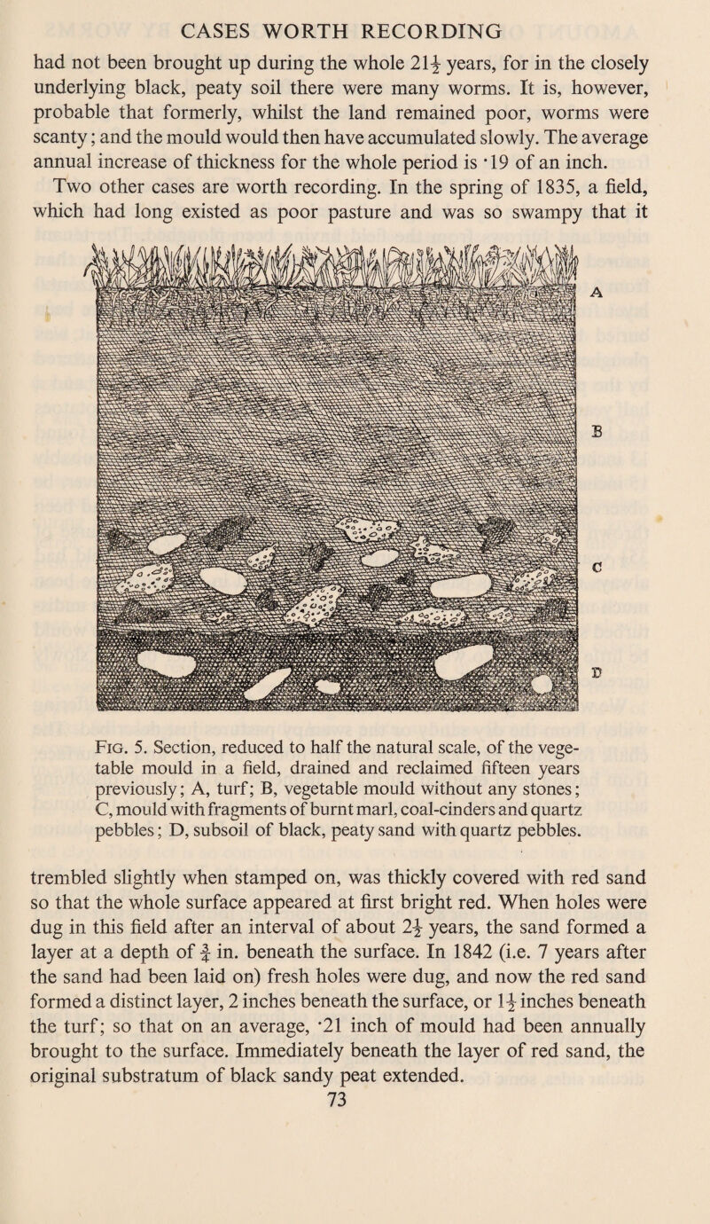 had not been brought up during the whole 21} years, for in the closely underlying black, peaty soil there were many worms. It is, however, probable that formerly, whilst the land remained poor, worms were scanty; and the mould would then have accumulated slowly. The average annual increase of thickness for the whole period is T9 of an inch. Two other cases are worth recording. In the spring of 1835, a field, which had long existed as poor pasture and was so swampy that it Fig. 5. Section, reduced to half the natural scale, of the vege¬ table mould in a field, drained and reclaimed fifteen years previously; A, turf; B, vegetable mould without any stones; C, mould with fragments of burnt marl, coal-cinders and quartz pebbles; D, subsoil of black, peaty sand with quartz pebbles. trembled slightly when stamped on, was thickly covered with red sand so that the whole surface appeared at first bright red. When holes were dug in this field after an interval of about 2} years, the sand formed a layer at a depth of f in. beneath the surface. In 1842 (i.e. 7 years after the sand had been laid on) fresh holes were dug, and now the red sand formed a distinct layer, 2 inches beneath the surface, or 1} inches beneath the turf; so that on an average, ‘21 inch of mould had been annually brought to the surface. Immediately beneath the layer of red sand, the original substratum of black sandy peat extended.