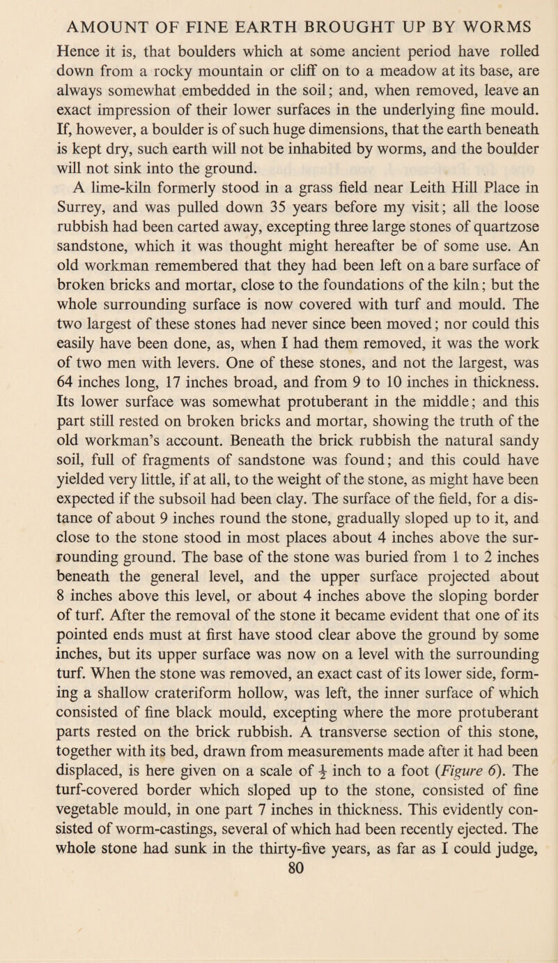 Hence it is, that boulders which at some ancient period have rolled down from a rocky mountain or cliff on to a meadow at its base, are always somewhat embedded in the soil; and, when removed, leave an exact impression of their lower surfaces in the underlying fine mould. If, however, a boulder is of such huge dimensions, that the earth beneath is kept dry, such earth will not be inhabited by worms, and the boulder will not sink into the ground. A lime-kiln formerly stood in a grass field near Leith Hill Place in Surrey, and was pulled down 35 years before my visit; all the loose rubbish had been carted away, excepting three large stones of quartzose sandstone, which it was thought might hereafter be of some use. An old workman remembered that they had been left on a bare surface of broken bricks and mortar, close to the foundations of the kiln; but the whole surrounding surface is now covered with turf and mould. The two largest of these stones had never since been moved; nor could this easily have been done, as, when I had them removed, it was the work of two men with levers. One of these stones, and not the largest, was 64 inches long, 17 inches broad, and from 9 to 10 inches in thickness. Its lower surface was somewhat protuberant in the middle; and this part still rested on broken bricks and mortar, showing the truth of the old workman’s account. Beneath the brick rubbish the natural sandy soil, full of fragments of sandstone was found; and this could have yielded very little, if at all, to the weight of the stone, as might have been expected if the subsoil had been clay. The surface of the field, for a dis¬ tance of about 9 inches round the stone, gradually sloped up to it, and close to the stone stood in most places about 4 inches above the sur¬ rounding ground. The base of the stone was buried from 1 to 2 inches beneath the general level, and the upper surface projected about 8 inches above this level, or about 4 inches above the sloping border of turf. After the removal of the stone it became evident that one of its pointed ends must at first have stood clear above the ground by some inches, but its upper surface was now on a level with the surrounding turf. When the stone was removed, an exact cast of its lower side, form¬ ing a shallow crateriform hollow, was left, the inner surface of which consisted of fine black mould, excepting where the more protuberant parts rested on the brick rubbish. A transverse section of this stone, together with its bed, drawn from measurements made after it had been displaced, is here given on a scale of \ inch to a foot {Figure 6). The turf-covered border which sloped up to the stone, consisted of fine vegetable mould, in one part 7 inches in thickness. This evidently con¬ sisted of worm-castings, several of which had been recently ejected. The whole stone had sunk in the thirty-five years, as far as I could judge,