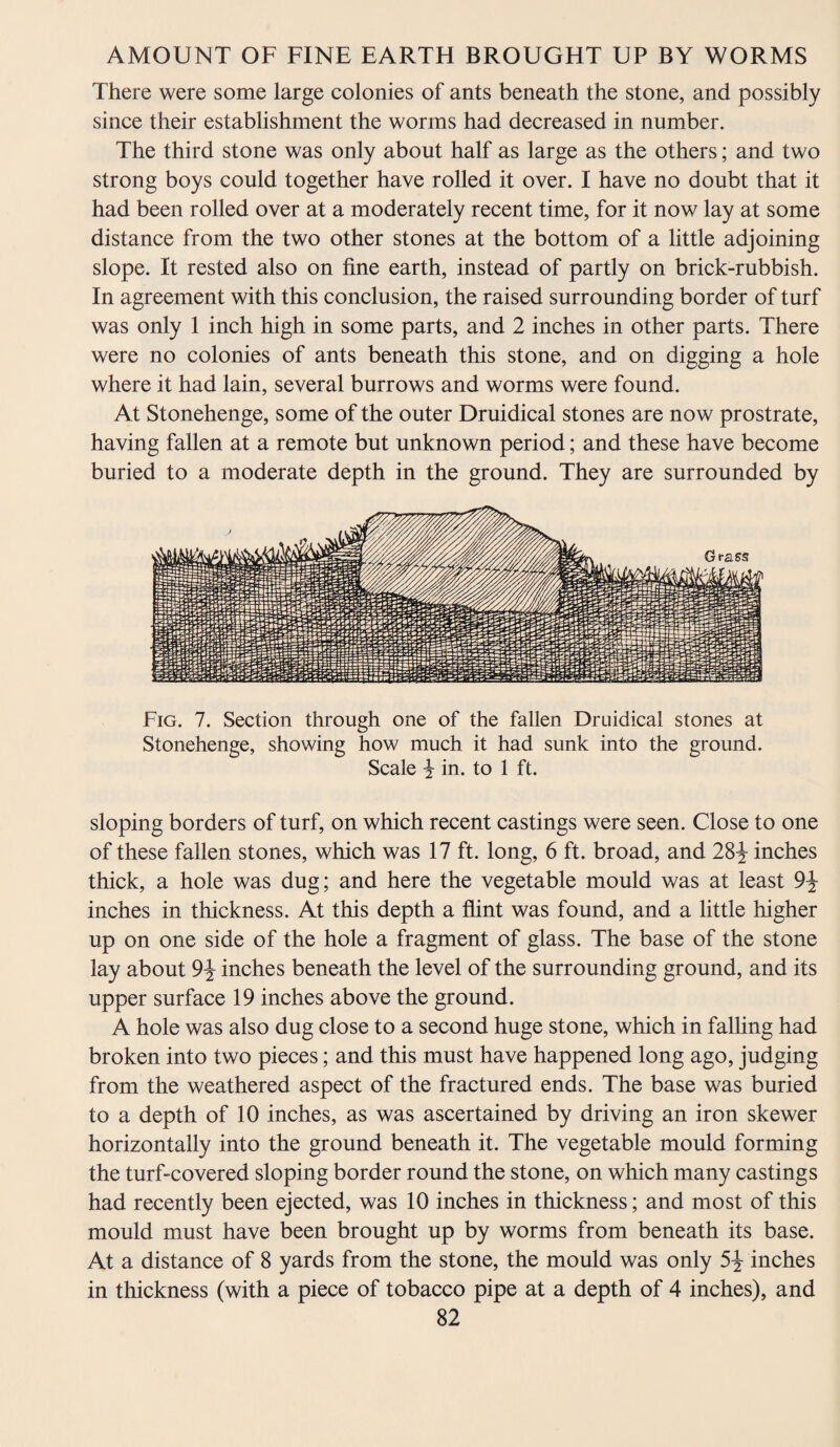 There were some large colonies of ants beneath the stone, and possibly since their establishment the worms had decreased in number. The third stone was only about half as large as the others; and two strong boys could together have rolled it over. I have no doubt that it had been rolled over at a moderately recent time, for it now lay at some distance from the two other stones at the bottom of a little adjoining slope. It rested also on fine earth, instead of partly on brick-rubbish. In agreement with this conclusion, the raised surrounding border of turf was only 1 inch high in some parts, and 2 inches in other parts. There were no colonies of ants beneath this stone, and on digging a hole where it had lain, several burrows and worms were found. At Stonehenge, some of the outer Druidical stones are now prostrate, having fallen at a remote but unknown period; and these have become buried to a moderate depth in the ground. They are surrounded by Fig. 7. Section through one of the fallen Druidical stones at Stonehenge, showing how much it had sunk into the ground. Scale j in. to 1 ft. sloping borders of turf, on which recent castings were seen. Close to one of these fallen stones, which was 17 ft. long, 6 ft. broad, and 28£ inches thick, a hole was dug; and here the vegetable mould was at least 9\ inches in thickness. At this depth a flint was found, and a little higher up on one side of the hole a fragment of glass. The base of the stone lay about 9\ inches beneath the level of the surrounding ground, and its upper surface 19 inches above the ground. A hole was also dug close to a second huge stone, which in falling had broken into two pieces; and this must have happened long ago, judging from the weathered aspect of the fractured ends. The base was buried to a depth of 10 inches, as was ascertained by driving an iron skewer horizontally into the ground beneath it. The vegetable mould forming the turf-covered sloping border round the stone, on which many castings had recently been ejected, was 10 inches in thickness; and most of this mould must have been brought up by worms from beneath its base. At a distance of 8 yards from the stone, the mould was only 5^ inches in thickness (with a piece of tobacco pipe at a depth of 4 inches), and