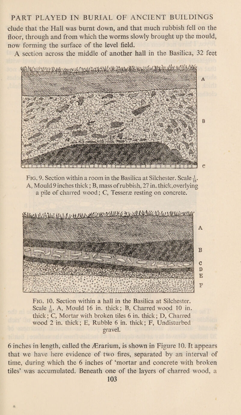 elude that the Hall was burnt down, and that much rubbish fell on the floor, through and from which the worms slowly brought up the mould, now forming the surface of the level field. A section across the middle of another hall in the Basilica, 32 feet A B C Fig. 9. Section within a room in the Basilica at Silchester. Scale Lo A, Mould 9 inches thick; B, mass of rubbish, 27 in. thick,overlying a pile of charred wood; C, Tesser® resting on concrete. Fig. 10. Section within a hall in the Basilica at Silchester. Scale 7. A, Mould 16 in. thick; B, Charred wood 10 in. thick; C, Mortar with broken tiles 6 in. thick; D, Charred wood 2 in. thick; E, Rubble 6 in. thick; F, Undisturbed gravel. 6 inches in length, called the 2Erarium, is shown in Figure 10. It appears that v/e have here evidence of two fires, separated by an interval of time, during which the 6 inches of ‘mortar and concrete with broken tiles’ was accumulated. Beneath one of the layers of charred wood, a