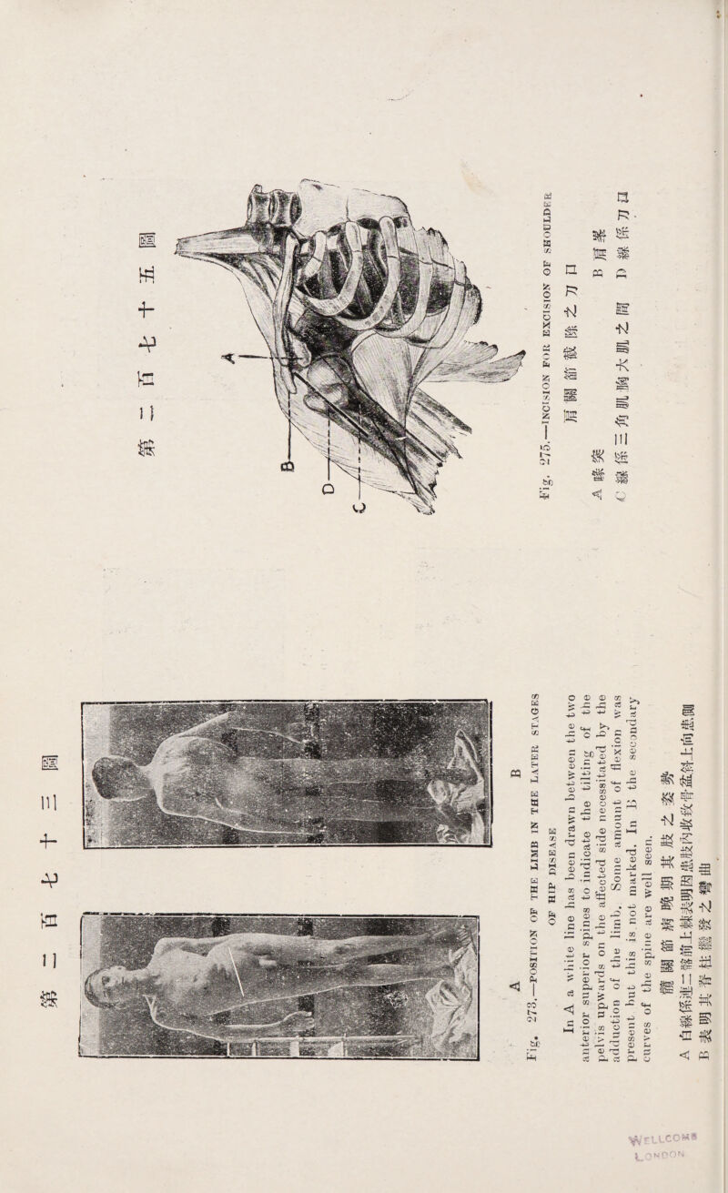 a穴担m ci 躂仞导-Kgm砹III雄_Q 谢Mm採邀Y nR-K!莖鏟 s 赃 fidBCTmcHS hoNOISIOXHcsc.1 MOISjaNl—to卜afenl* 11W4--VS.1 s» 钽飙-KJ溆議趄踟铽s€a Esi< 愈襯w驾铽踩蓉堪轾鼷II •U99S 一 JQ 彦9.H 9iqds 如ogg>Jso bspnc-oas 9q){q;UJ •PSJTRlu qou..2.2q:l qnq 4u9s9Jd sceAVcOJX8q3JOQsllolu-KCDluog :ql=一 】0Eol 一 ollpprt eq-tjhq pfB.t2ss90£mapls paqoCDjgtas91一一 uoOJPJlBMdn sl>一 ad 9qp £>JO.5qjll 一 一 9P03.2PU;I: o 一 S9U*I—tds J.2.19dns J.2J-2USS OMPaq.-MUQCDM 一a)q UAV03JP. U39q scsn GUJlCD^qAV03y ul—( HSV3SS J1H 甶0 S30YHS Hui^T: wtdHmnKn 3WX .ioJziOIJMsoPH—•t>ou m v ■n 14--vhnll]魏 雜 UXOM iqn no^