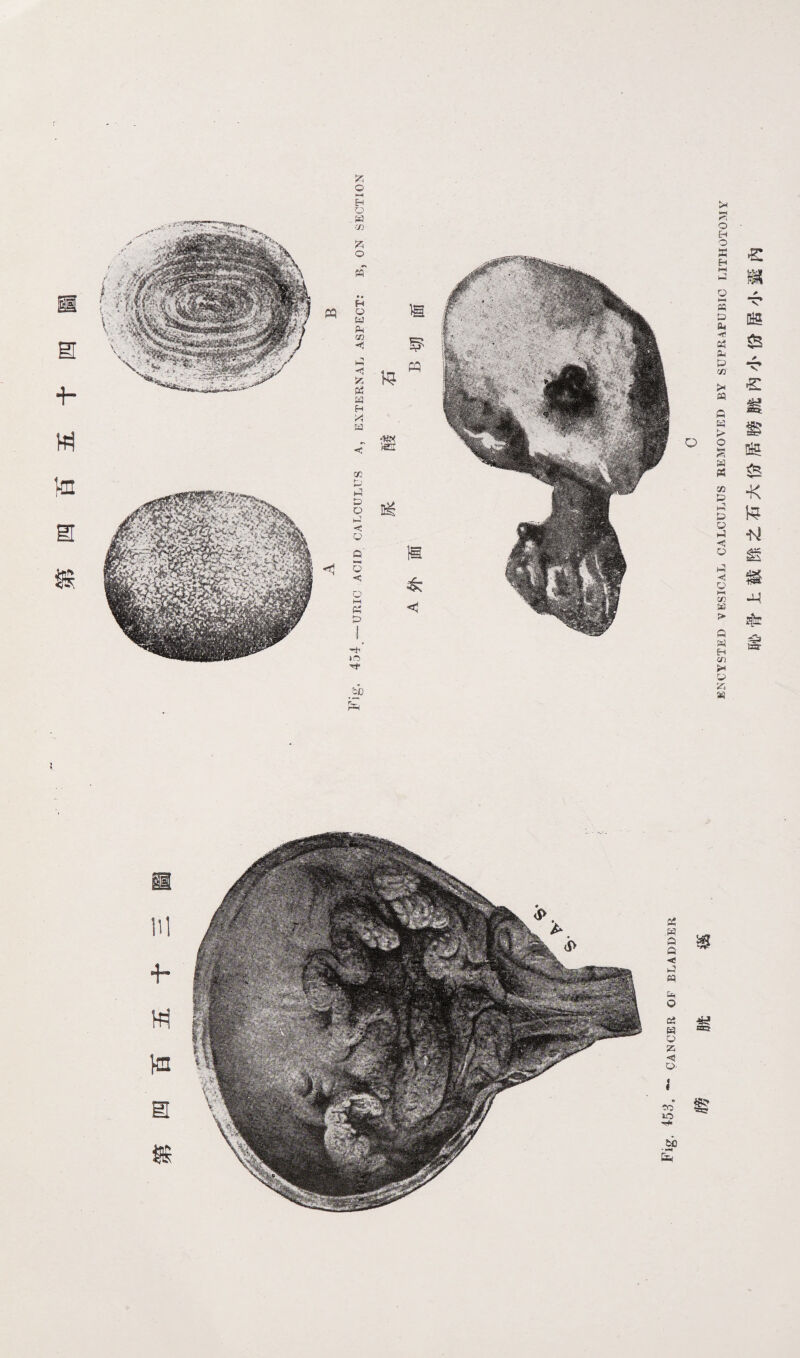 芭腳令陛空今径尝酱诞空K惧酱錠7敢含 .\1产‘01,公苗.1气1 奇K<I£1W yar CIKAOIVEart wlrincnvu JVOISIW> 白511,5;卢0>15| p 资尝墅 鹽国和冉怔国撫