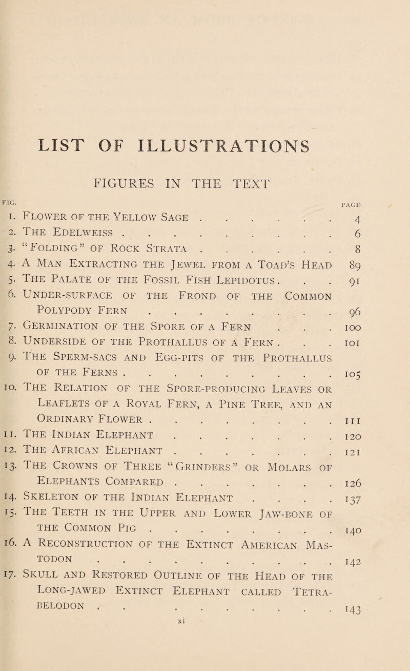 LIST OF ILLUSTRATIONS FIGURES IN THE TEXT FIG. 1. Flower of the Yellow Sage. 2. The Edelweiss.. 3- “Folding” of Rock Strata ...... 4- A Man Extracting the Jewel from a Toad’s Head 5. The Palate of the Fossil Fish Lepidotus. 6. Under-surface of the Frond of the Common Polypody Fern . 7. Germination of the Spore of a Fern 8. Underside of tfie Protiiallus of a Fern . 9. Tfie Sperm-sacs and Egg-pits of the Prothallus of the Ferns. 10. The Relation of the Spore-producing Leaves or Leaflets of a Royal Fern, a Pine Tree, and an Ordinary Flower. 11. The Indian Elephant. 12. The African Elephant. 13. The Crowns of Three “Grinders” or Molars of Elephants Compared . 14. Skeleton of the Indian Elephant . . . . 15. I he Teeth in the Upper and Lower Jaw-bone of the Common Pig. 16. A Reconstruction of the Extinct American Mas¬ todon . 17. Skull and Restored Outline of the FIead of the Long-jawed Extinct Elephant called Tetra- BELODON . PAGE 4 6 8 89 9i 96 100 101 105 111 120 121 126 137 140 142 M3