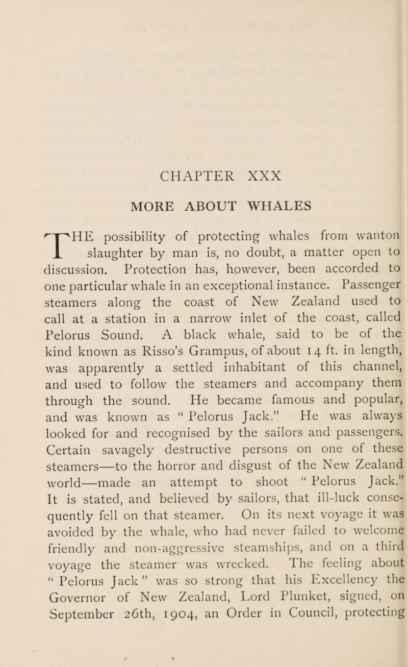 CHAPTER XXX MORE ABOUT WHALES HE possibility of protecting whales from wanton 1 slaughter by man is, no doubt, a matter open to discussion. Protection has, however, been accorded to one particular whale in an exceptional instance. Passenger steamers along the coast of New Zealand used to call at a station in a narrow inlet of the coast, called Pelorus Sound. A black whale, said to be of the kind known as Risso’s Grampus, of about i 4 ft. in length, was apparently a settled inhabitant of this channel, and used to follow the steamers and accompany them through the sound. He became famous and popular, and was known as “ Pelorus Jack.” He was always looked for and recognised by the sailors and passengers. Certain savagely destructive persons on one of these steamers—to the horror and disgust of the New Zealand world—made an attempt to shoot “ Pelorus Jack.” It is stated, and believed by sailors, that ill-luck conse¬ quently fell on that steamer. On its next voyage it was avoided by the whale, who had never failed to welcome friendly and non-aggressive steamships, and on a third voyage the steamer was wrecked. The feeling about “ Pelorus Jack” was so strong that his Excellency the Governor of New Zealand, Lord Plunket, signed, on September 26th, 1904, an Order in Council, protecting
