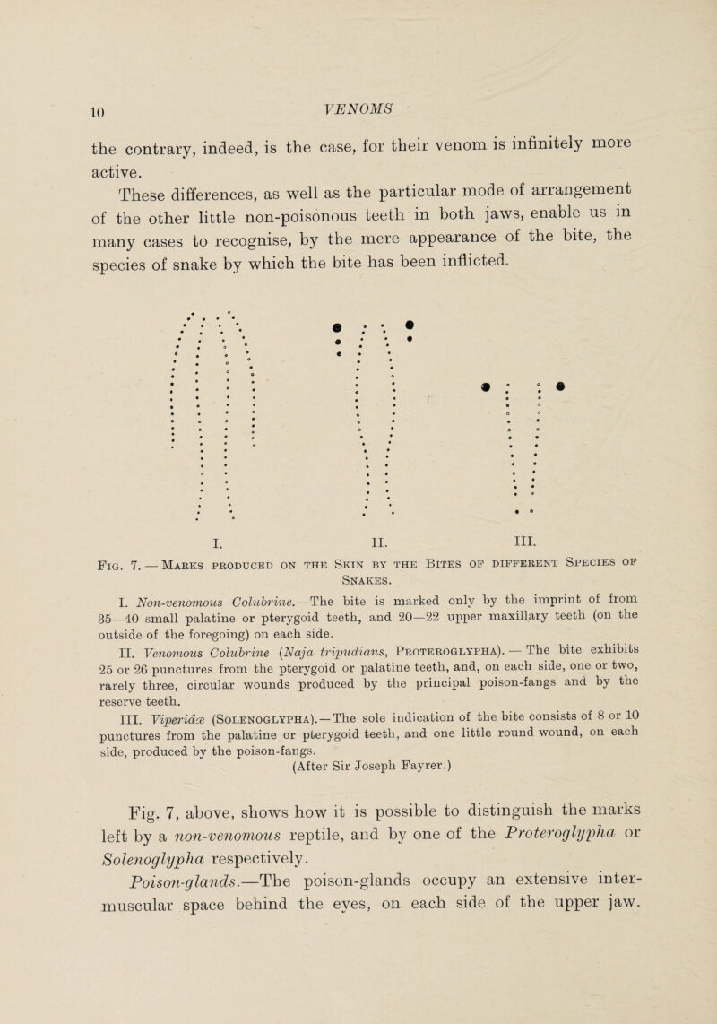 the contrary, indeed, is the case, for their venom is infinitely more active. These differences, as well as the particular mode of arrangement of the other little non-poisonous teeth in both jaws, enable us in many cases to recognise, by the mere appearance of the bite, the species of snake by which the bite has been inflicted. I. IL HI. 7, — Marks produced on the Skin by the Bites of different Species of Snakes. I. Non-venomous Colubrine.—The bite is marked only by the imprint of from 35_40 small palatine or pterygoid teeth, and 20—22 upper maxillary teeth (on the outside of the foregoing) on each side. II. Venomous Colubrine {Naja tripudians, Proteroglypha). — The bite exhibits 25 or 26 punctures from the pterygoid or palatine teeth, and, on each side, one or two, rarely three, circular wounds produced by the principal poison-fangs and by the reserve teeth. III. Viperidæ (Solenoglypha), — The sole indication of the bite consists of 8 or 10 punctures from the palatine or pterygoid teeth, and one little round wound, on each side, produced by the poison-fangs. (After Sir Joseph Fayrer.) Fig. 7, above, shows how it is possible to distinguish the marks left by a non-venomous reptile, and by one of the Proteroglypha or Solenoglypha respectively. Poison-glands.—The poison-glands occupy an extensive inter¬ muscular space behind the eyes, on each side of the upper jaw.