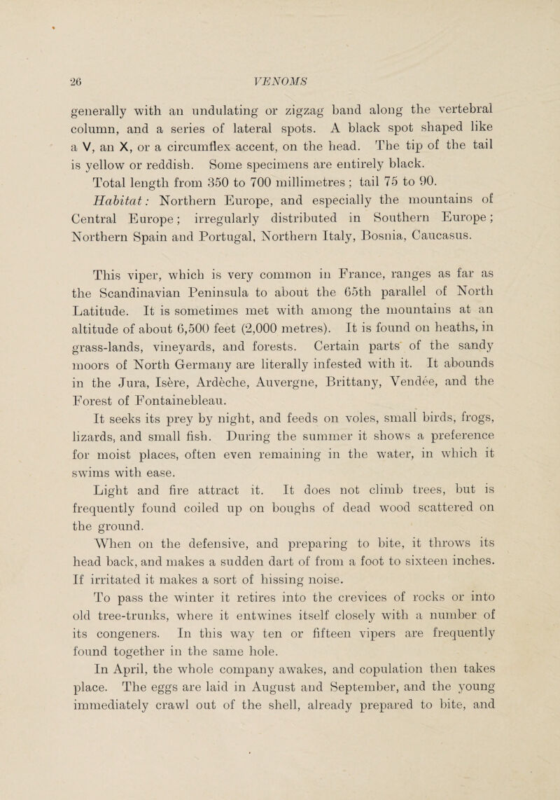 generally with an undulating or zigzag band along the vertebral column, and a series of lateral spots. A black spot shaped like a V, an X, or a circumflex accent, on the head. The tip of the tail is yellow or reddish. Some specimens are entirely black. Total length from 350 to 700 millimetres ; tail 75 to 90. Habitat: Northern Europe, and especially the mountains of Central Europe ; irregularly distributed in Southern Europe ; Northern Spain and Portugal, Northern Italy, Bosnia, Caucasus. This viper, which is very common in France, ranges as far as the Scandinavian Peninsula to about the 65th parallel of North Latitude. It is sometimes met with among the mountains at an altitude of about 6,500 feet (2,000 metres). It is found on heaths, in grass-lands, vineyards, and forests. Certain parts of the sandy moors of North Germany are literally infested with it. It abounds in the Jura, Isère, Ardèche, Auvergne, Brittany, Vendée, and the Forest of Fontainebleau. It seeks its prey by night, and feeds on voles, small birds, frogs, lizards, and small fish. During the summer it shows a preference for moist places, often even remaining in the water, in which it swims with ease. Light and fire attract it. It does not climb trees, but is frequently found coiled up on boughs of dead wood scattered on the ground. When on the defensive, and preparing to bite, it throws its head back, and makes a sudden dart of from a foot to sixteen inches. If irritated it makes a sort of hissing noise. To pass the winter it retires into the crevices of rocks or into old tree-trunks, where it entwines itself closely with a number of its congeners. In this way ten or fifteen vipers are frequently found together in the same hole. In April, the whole company awakes, and copulation then takes place. The eggs are laid in August and September, and the young immediately crawl out of the shell, already prepared to bite, and