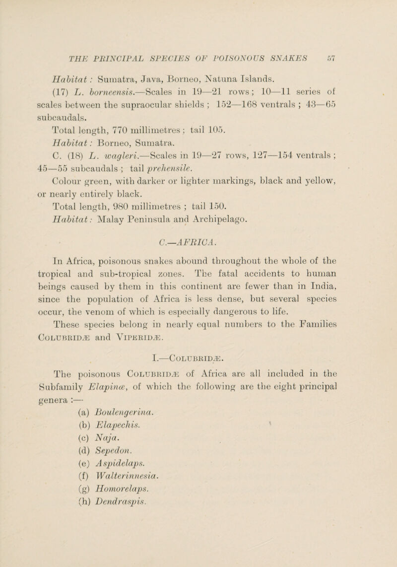 Habitat : Sumatra, Java, Borneo, Natuna Islands. (17) L. horneensis.—Scales in 19—21 rows ; 10—11 series of scales between the supraocular shields ; 152—168 ventrals ; 43—65 subcaudals. Total length, 770 millimetres; tail 105. Habitat: Borneo, Sumatra. C. (18) L. ivagleri.—Scales in 19—27 rows, 127—154 ventrals ; 45—55 subcaudals ; tail prehensile. Colour green, with darker or lighter markings, black and yellow, or nearly entirely black. Total length, 980 millimetres ; tail 150. Habitat : Malay Peninsula and Archipelago. C.—AFRICA. In Africa, poisonous snakes abound throughout the whole of the tropical and sub-tropical zones. The fatal accidents to human beings caused by them in this continent are few^er than in India, since the population of Africa is less dense, but several species occur, the venom of which is especially dangerous to life. These species belong in nearly equal numbers to the Families CüLUBRiDÆ and Yiperidæ. I.—CoLUBRIDÆ. The poisonous Colubridæ of Africa are all included in the Subfamily Elapince, of which the following are the eight principal genera :— (a) Boulengerina. (b) Elapechis. (c) Naja. (d) Sepedon. (e) Aspidelaps. (f) Walterinnesia. (g) Homorelaps. (h) Eendraspis.