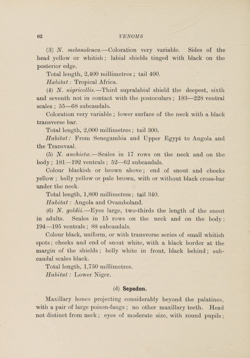 (3) N. melanoleuca.—Coloration very variable. Sides of the head yellow or whitish ; labial shields tinged with black on the posterior edge. Total length, 2,400 millimetres ; tail 400. Habitat : Tropical Africa. (4) N. nigricollis.—Third supralabial shield the deepest, sixth and seventh not in contact with the postocnlars ; 183—228 ventral scales ; 55—68 subcaudals. Coloration ver}^ variable ; lower surface of the neck with a black transverse bar. Total length, 2,000 millimetres ; tail 300. Habitat: From Senegambia and Upper Egypt to Angola and the Transvaal. (5) N. anchietce.—Scales in 17 rows on the neck and on the body ; 181—192 ventrals ; 52—62 subcaudals. Colour blackish or brown above ; end of snout and cheeks yellow ; belly yellow or pale brown, with or without black cross-bar under the neck. Total length, 1,800 millimetres ; tail 340. Habitat : Angola and Ovamboland. (6) N. goldii.—Eyes large, two-thirds the length of the snout in adults. Scales in 15 rows on the neck and on the body ; 194—195 ventrals ; 88 subcaudals. Colour black, uniform, or with transverse series of small whitish spots ; cheeks and end of snout white, with a black border at the margin of the shields ; belly white in front, black behind ; sub- caudal scales black. Total length, 1,750 millimetres. Habitat : Lower Niger. (d) Sepedon. Maxillary bones projecting considerably beyond the palatines, with a pair of large poison-fangs ; no other maxillary teeth. Head not distinct from neck ; eyes of moderate size, with round pupils ;