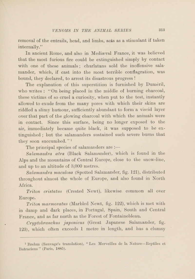 removal of the entrails, head, and limbs, acts as a stimulant if taken internally.” In ancient Home, and also in Mediæval France, it was believed that the most furious fire could be extinguished simply by contact with one of these animals ; charlatans sold the inoffensive sala¬ mander, which, if cast into the most terrible conflagration, was bound, they declared, to arrest its disastrous progress ! The explanation of this superstition is furnished by Duméril, w’ho writes : “On being placed in the middle of burning charcoal, these victims of so cruel a curiosity, when put to the test, instantly allowed to exude from the many pores with which their skins are riddled a slimy humour, sufficiently abundant to form a viscid layer over that part of the glowing charcoal with which the animals were in contact. Since this surface, being no longer exposed to the air, immediately became quite black, it was supposed to be ex¬ tinguished ; but the salamanders sustained such severe burns that they soon succumbed.”^ The principal species of salamanders are :— Salamandra atra (Black Salamander), which is found in the Alps and the mountains of Central Europe, close to the snow-line, and up to an altitude of 3,000 metres. Salamandra macidosa (Spotted Salamander, fig. 121), distributed throughout almost the whole of Europe, and also found in North Africa. Triton cristatus (Crested Newt), likewise common all over Europe. Triton marmoratus (Marbled Newt, fig. 122), which is met with in damp and dark places, in Portugal, Spain, South and Central France, and as far north as the Forest of Fontainebleau. Crijptohranchus japonicus (Great Japanese Salamander, fig. 123), which often exceeds 1 metre in length, and has a clumsy M^)rehm (Sauvage’s translation), “Les Merveilles de la Nature—Eeptiles et Batraciens” (Paris, 1885).