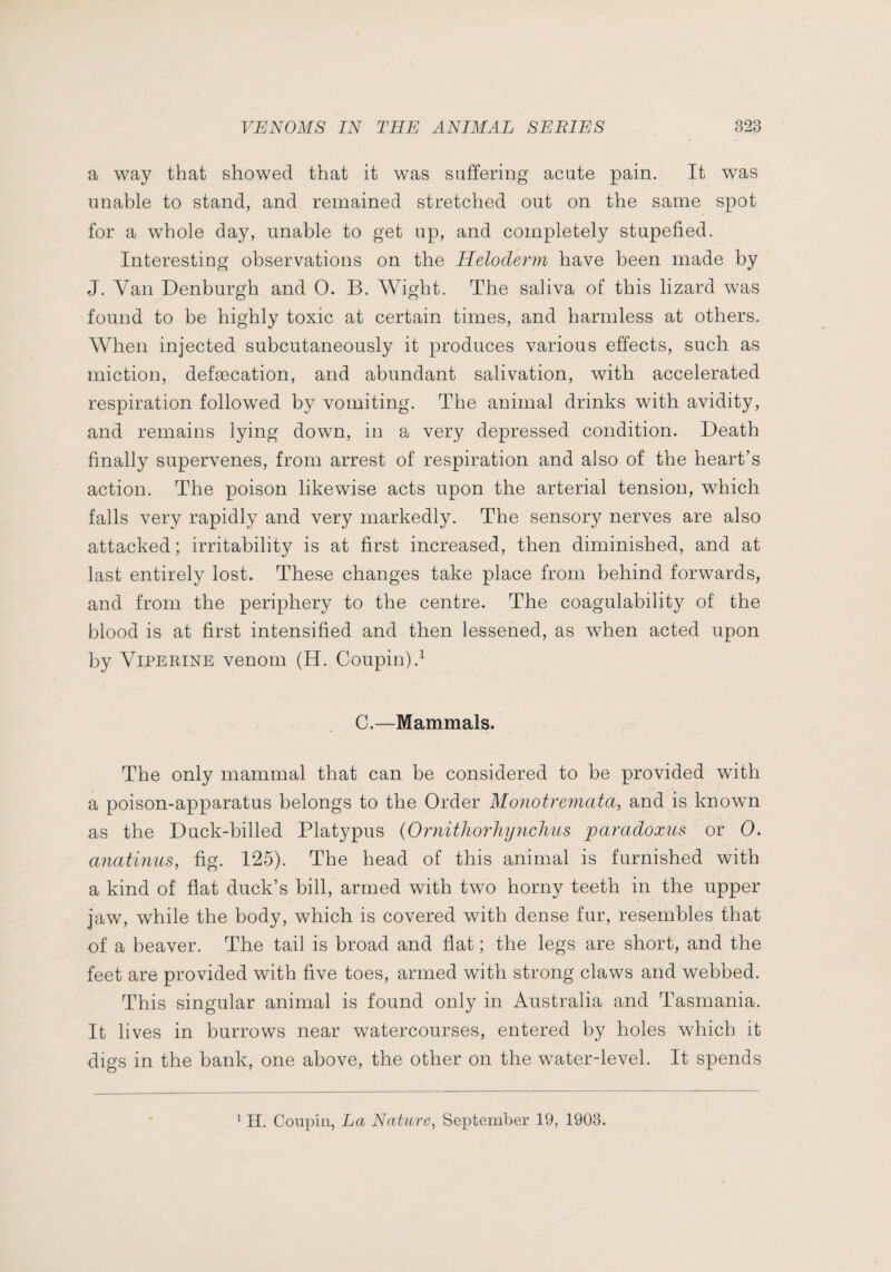 a way that showed that it was suffering acute pain. It was unable to stand, and remained stretched out on the same spot for a whole day, unable to get up, and completely stupefied. Interesting observations on the Heloclerm have been made by J. Van Denburgh and O. B. Wight. The saliva of this lizard was found to be highly toxic at certain times, and harmless at others. When injected subcutaneously it produces various effects, such as miction, defæcation, and abundant salivation, with accelerated respiration followed by vomiting. The animal drinks with avidity, and remains lying down, in a very depressed condition. Death finally supervenes, from arrest of respiration and also of the heart’s action. The poison likewise acts upon the arterial tension, which falls very rapidly and very markedly. The sensory nerves are also attacked ; irritability is at first increased, then diminished, and at last entirely lost. These changes take place from behind forwards, and from the periphery to the centre. The coagulability of the blood is at first intensified and then lessened, as when acted upon by VIPERINE venom (H. Coupin).^ C.—Mammals. The only mammal that can be considered to be provided with a poison-apparatus belongs to the Order Monotremata, and is known as the Duck-billed Platypus {Omithorliyiichiis paradoxus or 0. anatinus, fig. 125). The head of this animal is furnished with a kind of flat duck’s bill, armed with two horny teeth in the upper jaw, while the body, which is covered with dense fur, resembles that of a beaver. The tail is broad and flat ; the legs are short, and the feet are provided with five toes, armed with strong claws and webbed. This singular animal is found only in Australia and Tasmania. It lives in burrows near watercourses, entered by holes which it digs in the bank, one above, the other on the water-level. It spends ^ H. Coiipiri, La Nature, September 19, 1903.