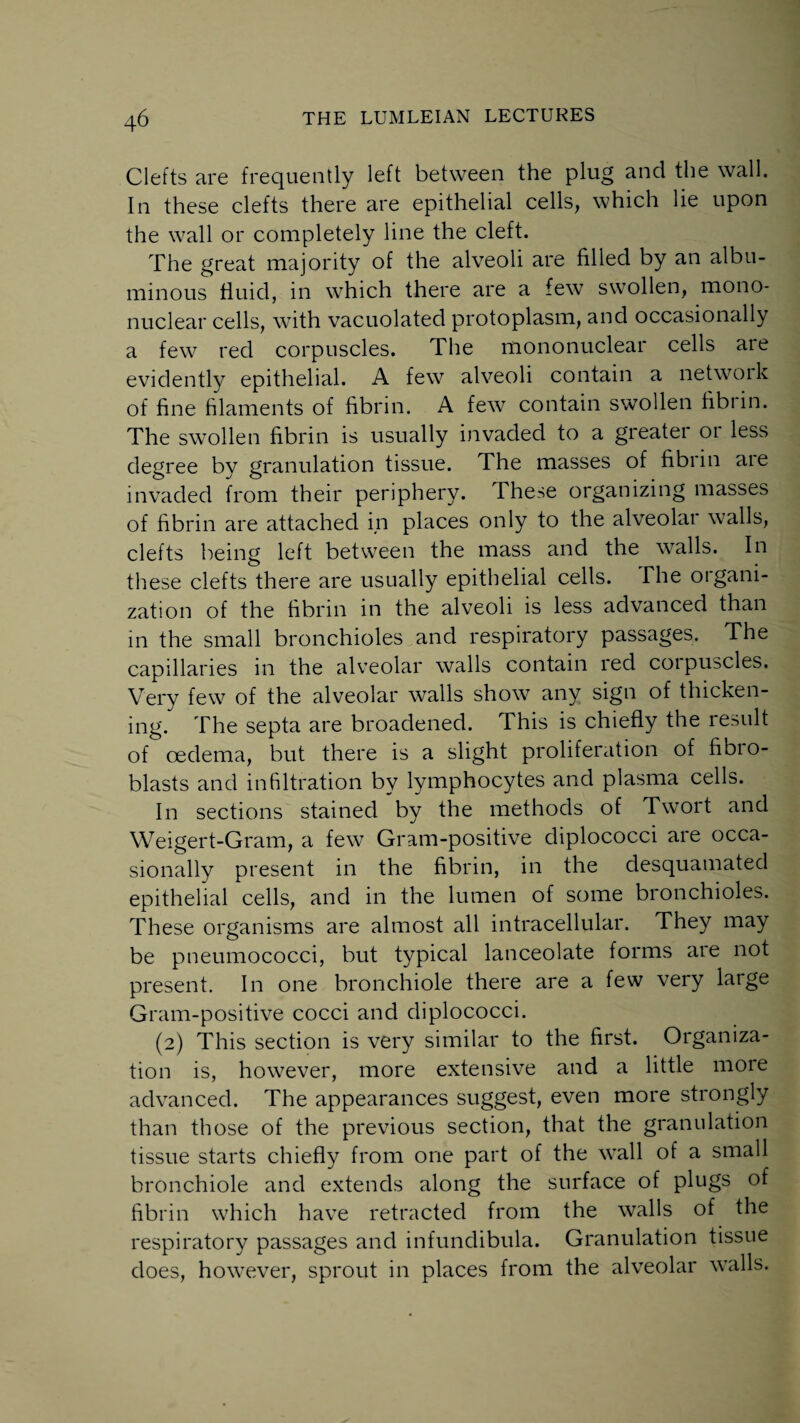 Clefts are frequently left between the plug and the wall. In these clefts there are epithelial cells, which lie upon the wall or completely line the cleft. The great majority of the alveoli are filled by an albu¬ minous fluid, in which there are a few swollen, mono¬ nuclear cells, wfith vacuolated protoplasm, and occasionally a few red corpuscles. The mononuclear cells are evidently epithelial. A few7 alveoli contain a netwoik of fine filaments of fibrin. A few contain swollen fibiin. The swollen fibrin is usually invaded to a greater or less degree by granulation tissue. The masses of fibrin aie invaded from their periphery. These organizing masses of fibrin are attached in places only to the alveolar walls, clefts being left between the mass and the walls. In these clefts there are usually epithelial cells. The oigani- zation of the fibrin in the alveoli is less advanced than in the small bronchioles and respiratory passages. The capillaries in the alveolar walls contain red corpuscles. Very few of the alveolar walls show any sign of thicken¬ ing. The septa are broadened. This is chiefly the result of oedema, but there is a slight proliferation of fibio- blasts and infiltration by lymphocytes and plasma cells. In sections stained by the methods of Twort and Weigert-Gram, a few Gram-positive diplococci are occa¬ sionally present in the fibrin, in the desquamated epithelial cells, and in the lumen of some bronchioles. These organisms are almost all intracellular. They may be pneumococci, but typical lanceolate forms are not present. In one bronchiole there are a few very large Gram-positive cocci and diplococci. (2) This section is very similar to the first. Organiza¬ tion is, however, more extensive and a little more advanced. The appearances suggest, even more strongly than those of the previous section, that the granulation tissue starts chiefly from one part of the wall of a small bronchiole and extends along the surface of plugs of fibrin which have retracted from the walls of the respiratory passages and infundibula. Granulation tissue does, however, sprout in places from the alveolar walls.