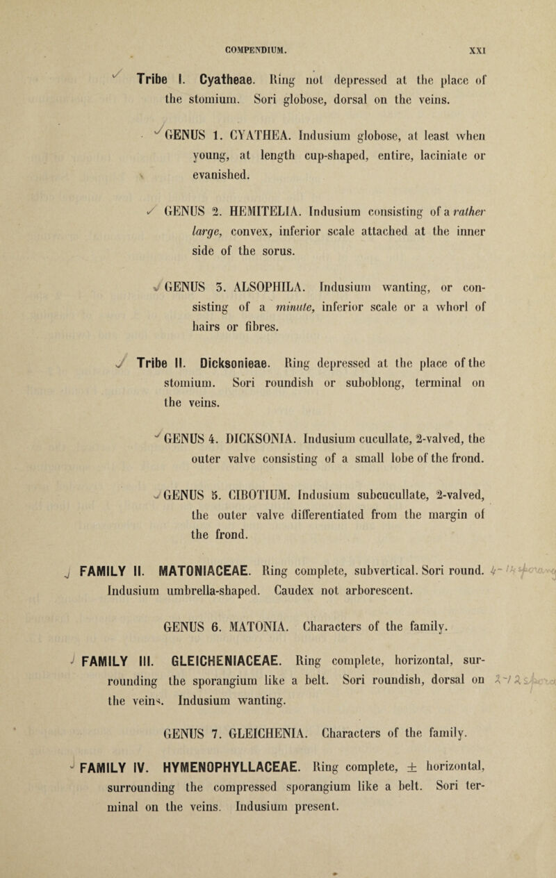 Tribe I. Oyatheae. Ring not depressed at the place of the stomium. Sori globose, dorsal on the veins. • ' GENUS 1. CYATHEA. Indusium globose, at least when young, at length cup-shaped, entire, laciniate or evanished. •/ GENUS 2. HEMITELIA. Indusium consisting of a rather large, convex, inferior scale attached at the inner side of the sorus. ■J GENUS 5. ALSOPHILA. Indusium wanting, or con¬ sisting of a minute, inferior scale or a whorl of hairs or fibres. J Tribe II. Dicksonieae. Ring depressed at the place of the stomium. Sori roundish or suboblong, terminal on the veins. GENUS 4. DICKSONIA. Indusium cucullate, 2-valved, the outer valve consisting of a small lobe of the frond. J GENUS 5. CIBOTIUM. Indusium subcucullate, 2-valved, the outer valve differentiated from the margin of the frond. FAMILY II. MATONIACEAE. Ring complete, subvertical. Sori round. k~ Indusium umbrella-shaped. Caudex not arborescent. GENUS 6. MATONIA. Characters of the family. J FAMILY III. GLEICHENIACEAE. Ring complete, horizontal, sur¬ rounding the sporangium like a belt. Sori roundish, dorsal on Z^/Z. the vein^. Indusium wanting. GENUS 7. GLEICHENIA. Characters of the family. J FAMILY IV. HYMENOPHYLLACEAE. Ring complete, ± horizontal, surrounding the compressed sporangium like a belt. Sori ter¬ minal on the veins. Indusium present.