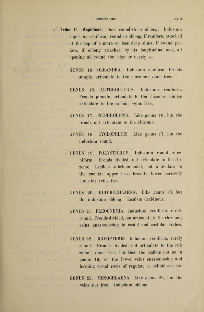 Tribe II. Aspidieae. Sori roundish or oblong. Indusium superior, reniform, round or oblong, if reniform attached at the top of a more or less deep sinus, if round pel¬ tate, if oblong attached by its longitudinal axis, all opening all round the edge or nearly so. GENUS 15. OLEANDRA. Indusium reniform. Fronds simple, articulate to the rhizome; veins free. GENUS 16. ARTHROPTERIS. Indusium reniform. Fronds pinnate, articulate to the rhizome; pinnae articulate to the rachis ; veins free. GENUS 17. NEPHROLEPIS. Like genus 16, hut the fronds not articulate to the rhizome. GENUS 18. CYCLOPELTIS. Like genus 17, hut the indusium round. J GENUS 19. POLYST1CHUM. Indusium round or re¬ niform. Fronds divided, not articulate to the rhi¬ zome. Leaflets subrhomboidal, not articulate to the rachis; upper base broadly, lower narrowly cuneate; veins free. GENUS 20. DIItYMOCHLAENA. Like genus 19, hut the indusium oblong. Leaflets deciduous. * GENUS 21. PLEOCNEMIA. Indusium reniform, rarely round. Fronds divided, not articulate to the rhizome; ♦ veins anastomosing in costal and costular arches. v GENUS 22. DRYOPTERIS. Indusium reniform, rarely round. Fronds divided, not articulate to the rhi¬ zome; veins free, hut then the leaflets not as in genus 19, or the lower veius anastomosing and forming costal rows of regular, + deltoid areolae. GENUS 25. MESOCHLAENA. Like genus 22, but the veins not free. Indusium oblong.