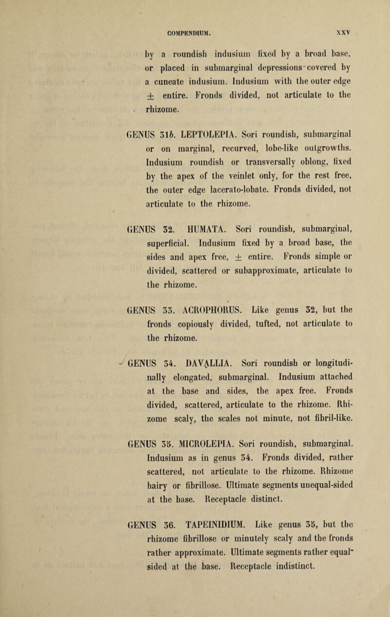 by a roundish indusium fixed by a broad base, or placed in submarginal depressions-covered by a cuneate indusium. Indusium with the outer edge + entire. Fronds divided, not articulate to the / rhizome. GENUS 516. LEPTOLEPIA. Sori roundish, submarginal or on marginal, recurved, lobe-like outgrowths. Indusium roundish or transversally oblong, fixed by the apex of the veinlet only, for the rest free, the outer edge lacerato-lobate. Fronds divided, not articulate to the rhizome. GENUS 32. HUMATA. Sori roundish, submarginal, superficial. Indusium fixed by a broad base, the sides and apex free, + entire. Fronds simple or divided, scattered or subapproximate, articulate to the rhizome. % GENUS 55. ACROPHORUS. Like genus 32, but the fronds copiously divided, tufted, not articulate to the rhizome. GENUS 54. DAVALLIA. Sori roundish or longitudi¬ nally elongated, submarginal. Indusium attached at the base and sides, the apex free. Fronds divided, scattered, articulate to the rhizome. Rhi¬ zome scaly, the scales not minute, not fibril-like. GENUS 55. MICROLEPIA. Sori roundish, submarginal. Indusium as in genus 54. Fronds divided, rather scattered, not articulate to the rhizome. Rhizome hairy or fibrillose. Ultimate segments unequal-sided at the base. Receptacle distinct. GENUS 36. TAPEINIDIUM. Like genus 55, but the rhizome fibrillose or minutely scaly and the fronds rather approximate. Ultimate segments rather equal sided at the base. Receptacle indistinct.