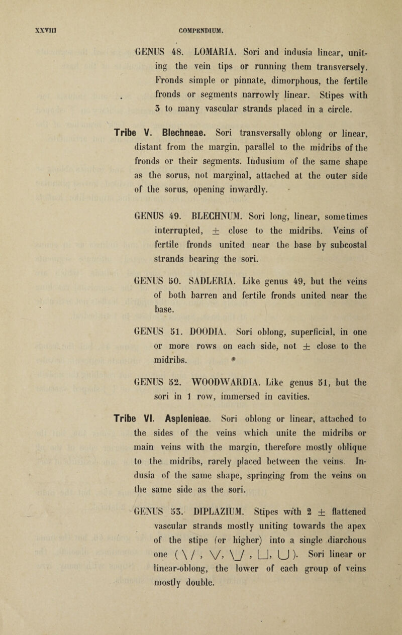 GENUS 48. LOMARIA. Sori and indusia linear, unit¬ ing the vein tips or running them transversely. Fronds simple or pinnate, dimorphous, the fertile fronds or segments narrowly linear. Stipes with 3 to many vascular strands placed in a circle. Tribe V. Blechneae. Sori transversally oblong or linear, distant from the margin, parallel to the midribs of the fronds or their segments. Indusium of the same shape as the sorus> not marginal, attached at the outer side of the sorus, opening inwardly. GENUS 49. BLECHNUM. Sori long, linear, sometimes interrupted, ± close to the midribs. Veins of fertile fronds united near the base by subcostal strands bearing the sori. GENUS 50. SADLERIA. Like genus 49, but the veins of both barren and fertile fronds united near the base. GENUS 51. DOODIA. Sori oblong, superficial, in one or more rows on each side, not + close to the midribs. • GENUS 52. WOODWARDIA. Like genus 51, but the sori in 1 row, immersed in cavities. Tribe VI. Asplenieae. Sori oblong or linear, attached to the sides of the veins which unite the midribs or main veins with the margin, therefore mostly oblique to the midribs, rarely placed between the veins. In¬ dusia of the same shape, springing from the veins on the same side as the sori. GENUS 53. DIPLAZIUM. Stipes wRh 2 + flattened vascular strands mostly uniting towards the apex of the stipe (or higher) into a single diarchous one ( \ / , V> \_/ , |_J, U )• Sori linear or linear-oblong, the lower of each group of veins mostly double.