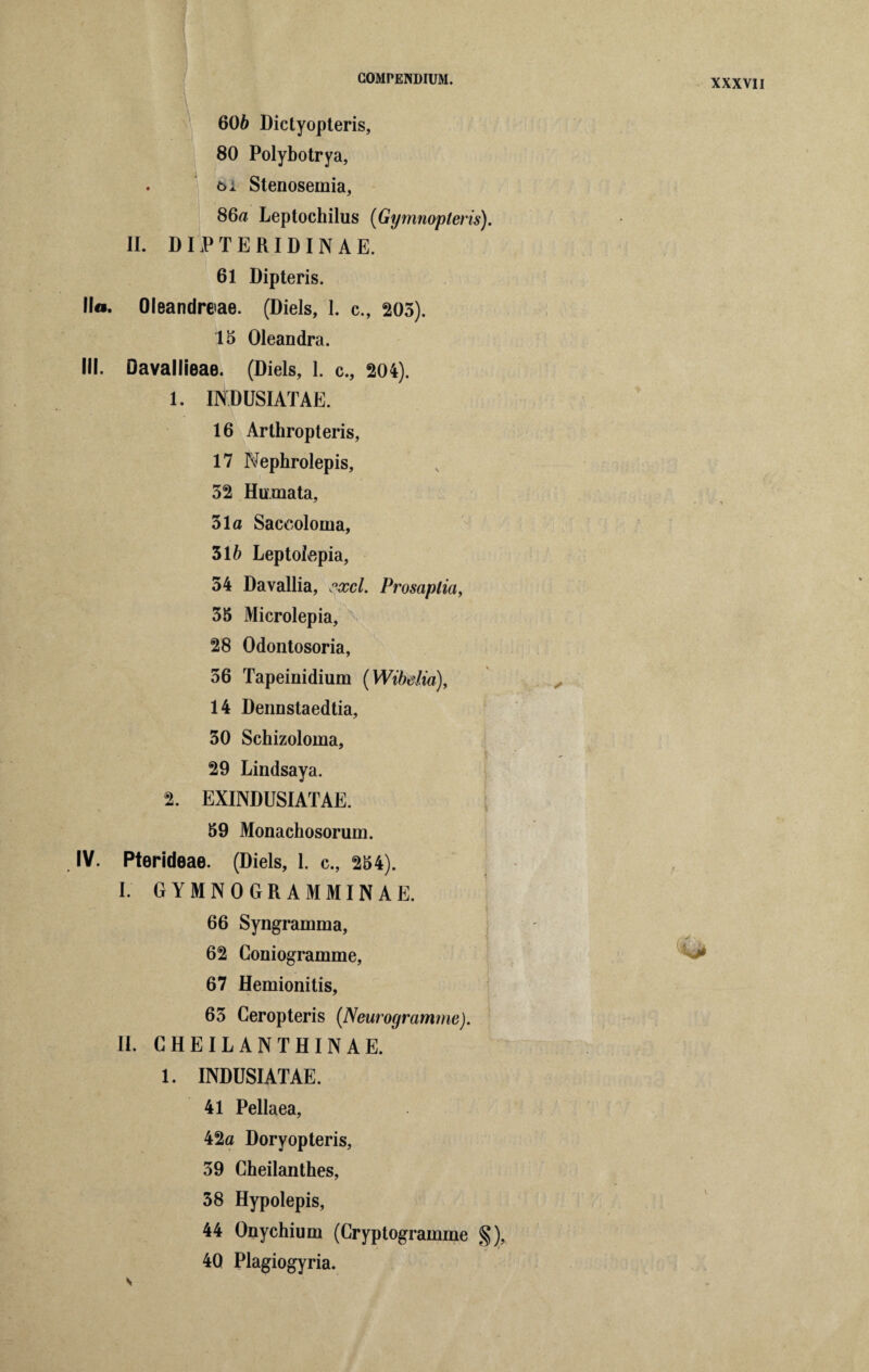 606 Dictyopteris, 80 Polybotrya, . 6i Stenoseinia, 86a Leptochilus (Gymnopteris). II. D I PTE RID IN AE. 61 Dipteris. Il«. Oleandraae. (Diels, 1. c., 205). 15 Oleandra. III. Davallieae. (Diels, 1. c., 204). 1. INDUSIATAE. 16 Arthropteris, 17 Nephrolepis, 52 Hu.mata, 51a Saccoloma, 316 Leptolepia, 54 Davallia, cxcl. Prosaplia, 55 Microlepia, 28 Odontosoria, 56 Tapeinidium (Wibdia), 14 Dennstaedtia, 50 Schizoloma, 29 Lindsaya. 2. EXINDUSIATAE. 59 Monachosorum. IV. Pterideae. (Diels, 1. c., 254). I. G Y M N 0 G R A M MIN A E. t 66 Syngramma, 62 Coniogramme, 67 Hemionitis, 65 Ceropteris (Neurogramme). II. CHEILANTHINAE. 1. INDUSIATAE. 41 Pellaea, 42a Doryopteris, 59 Cheilanthes, 58 Hypolepis, 44 Onychium (Cryptogramme §), 40 Plagiogyria.