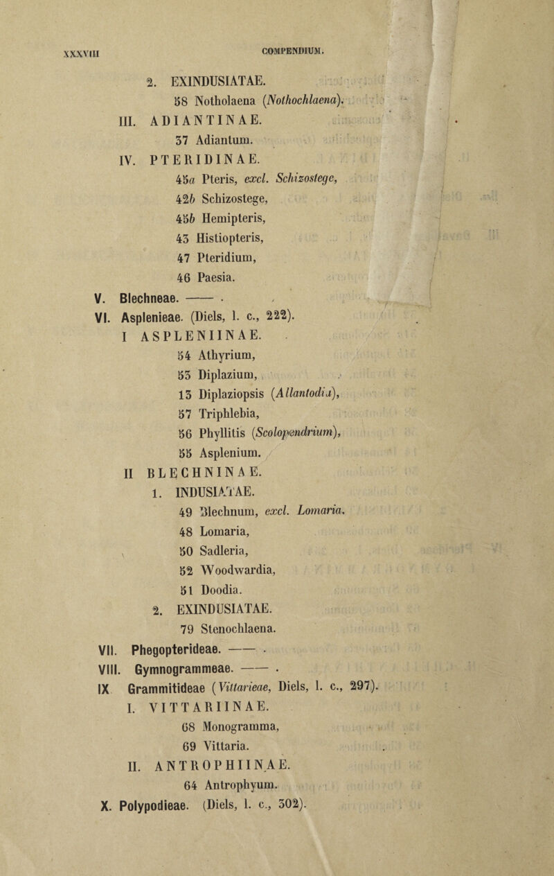 2. EX1NDUSIATAE. 58 Notholaena (.Nothochlaena). III. ADIANTINAE. l ^ 57 Adiantum. IV. PTERIDINAE. 45a Pteris, ex cl. Schizostegc, 426 Sehizostege, 456 Hemipteris, 43 Histiopteris, 47 Pteridium, 46 Paesia. V. Blechneae. - . VI. Asplenieae. (Diels, 1. c., 222). I ASPLENIINAE. 54 Athyrium, 53 Diplazium, 13 Diplaziopsis (.Allantodid), 57 Triphlebia, 56 Phyllitis (,Scoloptmdrium), 55 Asplenium. II BLECHNINAE. 1. INDUSIATAE. 49 Blechnum, excl. Lomaria, 48 Lomaria, 50 Sadleria, 52 Woodwardia, 51 Doodia. % EXINDUSIATAE. 79 Stenochlaena. VII. Phegopterideae.-, VIII. Gymnogrammeae.-• IX Grammitideae (Viltarieae, Diels, 1. c., 297). I. VITTARIINAE. 68 Monogramma, 69 Vittaria. II. A N T R 0 P H11N A E. 64 Antrophyum. X. Polypodieae. (Diels, 1. c., 502).