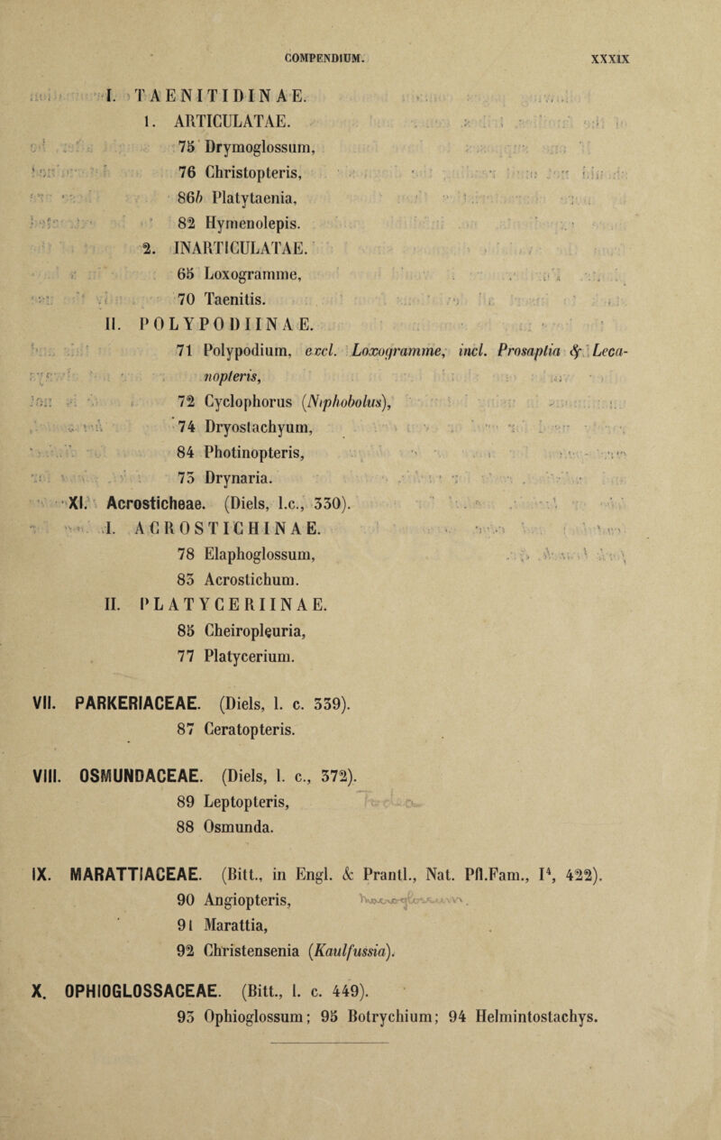 I. T AENITIDIN A E. r , 1. ARTICULATAE. i 75 Drymoglossum, '76 Christopteris, * • :u r 5 : 86ft Platytaenia, ; . 82 Hymenolepis. 2. INARTICULATAE. , , 65 Loxogramme, ; 1 • vc 70 Taenitis. II. POLYPODIINAE. 71 Polypodium, excl. Loxogramme, incl. Prosaptia fy Leca- nopferis, rt • 72 Cyclophorus (.Ntphobolus), . ^ 74 Dryostachyum, v * •$ 84 Photinopteris, ’ . .■« ' v- v v 75 Drynaria. ; • •: ' , • • XI. Acrosticheae. (Diels, l.c., 330). I ^ I. ACROSTIC HINA E. * > 78 Elaphoglossum, ■ 85 Acrostichum. II. P L A T Y C E R11 N A E. 85 Cheiropleuria, 77 Platycerium. VII. PARKERIACEAE. (Diels, 1. c. 539). 87 Cera top teris. VIII. OSMUNDACEAE. (Diels, 1. c., 372). 89 Leptopteris, 88 Osmunda. *■» IX. MARATTIACEAE. (Bitt., in Engl. & Prantl., Nat. Pfl.Fam., I4, 422). 90 Angiopteris, 91 Marattia, 92 Christensenia (Kaulfussia). X. OPHIOGLOSSACEAE. (Bitt., 1. c. 449). 95 Ophioglossum; 95 Botrychium; 94 Helmintostachys.