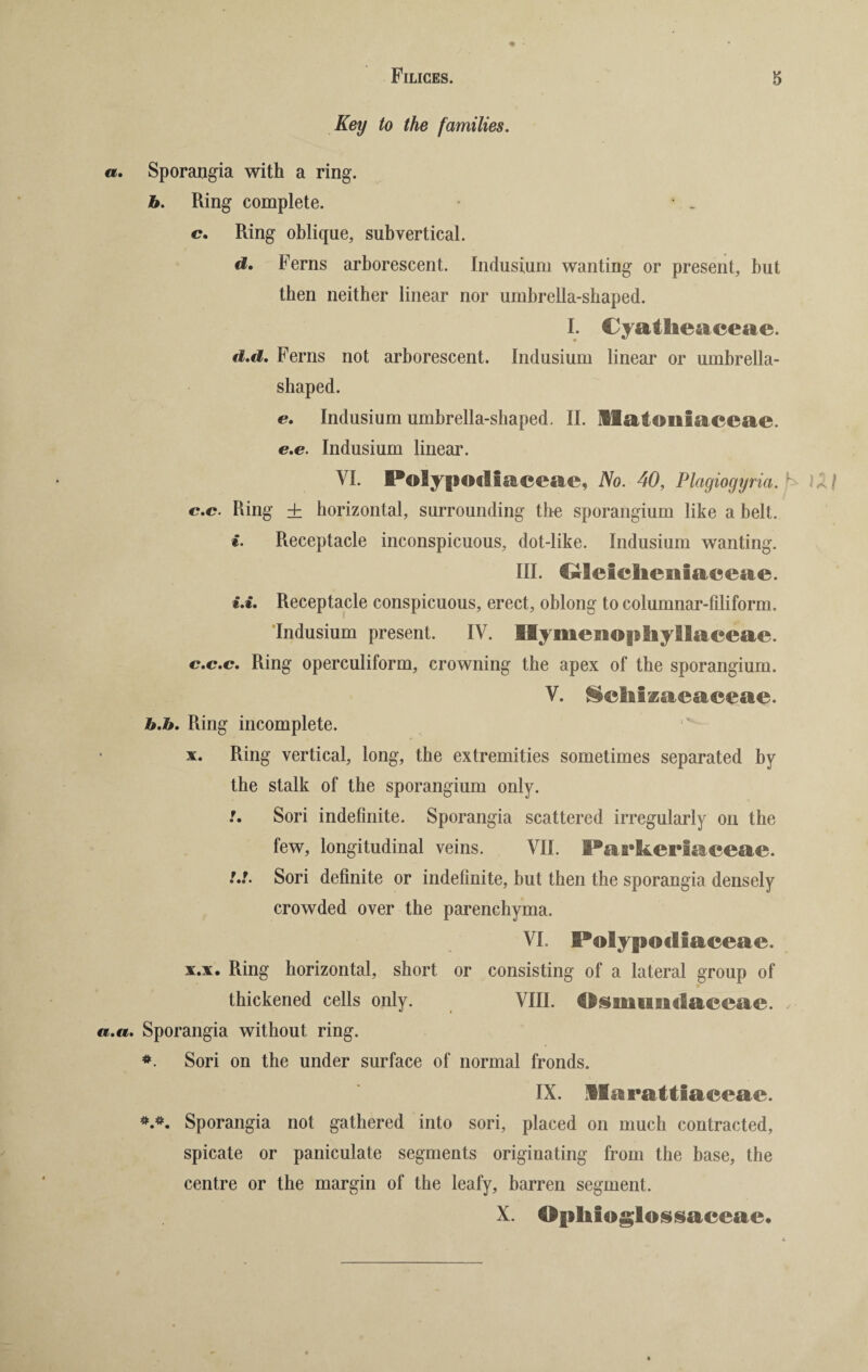 • • Key to the families. a. Sporangia with a ring. b. Ring complete. • „ c. Ring oblique, sub vertical. d. Ferns arborescent. Indusium wanting or present, but then neither linear nor umbrella-shaped. I. Cyatlieaceae. d.d. Ferns not arborescent. Indusium linear or umbrella¬ shaped. «?. Indusium umbrella-shaped. II. llataniaceae. e.e. Indusium linear. VI. Polypodiaceae, No. 40, Plagiogyria. h c.c. Ring + horizontal, surrounding the sporangium like a belt. i. Receptacle inconspicuous, dot-like. Indusium wanting. III. $»leielieii3aceae. t.t. Receptacle conspicuous, erect, oblong to columnar-filiform. Indusium present. IV. Hymenopliyllaceae. c.c.c. Ring operculiform, crowning the apex of the sporangium. V. 8ehizaeaeeae. b.h. Ring incomplete. x. Ring vertical, long, the extremities sometimes separated by the stalk of the sporangium only. !. Sori indefinite. Sporangia scattered irregularly on the few, longitudinal veins. VII. Parkeriaceae. !.!. Sori definite or indefinite, but then the sporangia densely crowded over the parenchyma. VI. Polypaillaceae. x.x. Ring horizontal, short or consisting of a lateral group of thickened cells only. VIII. Osmimdaccae. «.«*. Sporangia without ring. *. Sori on the under surface of normal fronds. / * IX. ISaraltiaeeae. *.*. Sporangia not gathered into sori, placed on much contracted, spicate or paniculate segments originating from the base, the centre or the margin of the leafy, barren segment. X. Opliioglossaceae*