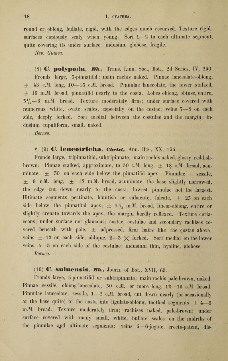 round or oblong, bullate, rigid, with the edges much recurved. Texture rigid; surfaces copiously scaly when young. Sori 1—2 to each ultimate segment, quite covering its under surface; indusium globose, fragile. New Guinea. (8) CL polypoda, Bn., Trans. Linn. Soc., Bot., 2d Series, IV, 250. Fronds large, 5-pinnatifid; main rachis naked. Pinnae lanceolate-oblong, ± 45 c.M. long, .10—15 c.M. broad. Pinnulae lanceolate, the lower stalked, ± 15 m.M. broad, pinnatifid nearly to the costa. Lobes oblong, obtuse, entire, 5 72—5 m.M. broad. Texture moderately firm; under surface covered with numerous white, ovate scales, especially on the costae; veins 7—8 on each side, deeply forked. Sori medial between the costulae and the margin; in¬ dusium cupuliform, small, naked. Borneo. * (9) CL leucotricha, Christ, Ann. Btz., XX, 155. Fronds large, tripinnatifid, subtripinnate; main rachis naked, glossy, reddish- brown. Pinnae stalked, approximate, to 50 c.M. long, + 18 c.M. broad, acu¬ minate, + 50 on each side below the pinnatifid apex. Pinnulae + sessile, ± 9 c.M. long, + 18 m.M. broad, acuminate, the base slightly narrowed, the edge cut down nearly to the costa; lowest pinnulae not the largest. Ultimate segments pectinate, bluntish or subacute, falcate, + 25 on each side below the pinnatifid apex, ± 2y2 m.M. broad, linear-oblong, entire or slightly crenate towards the apex, the margin hardly reflexed. Texture coria¬ ceous; under surface not glaucous; costae, costulae and secondary rachises co¬ vered beneath with pale, + adpressed, firm hairs like the costae above; veins ± 12 on each side, oblique, 2—5 X forked. Sori medial on the lower veins, 4—5 on each side of the costulae; indusium thin, hyaline, globose. Borneo. (10) C. sailiacnsis, Bn., Journ. of Bot., XVII, 65. Fronds large, 5-pinnatifid or subtripinnate; main rachis pale-brown, naked. Pinnae sessile, oblong-lanceolate, 50 c.M. or more long, 12—15 c.M. broad. Pinnulae lanceolate, sessile, 1—2 c.M. broad, cut down nearly (or occasionally at the base quite) to the costa into ligulate-oblong, toothed segments + 4—5 m.M. broad, lexture moderately firm; rachises naked, pale-brown; under surface covered with many small, white, bullate scales on the midribs of the pinnulae a^id ultimate segments; veins 5—6-jugate, erecto-patent, dis-