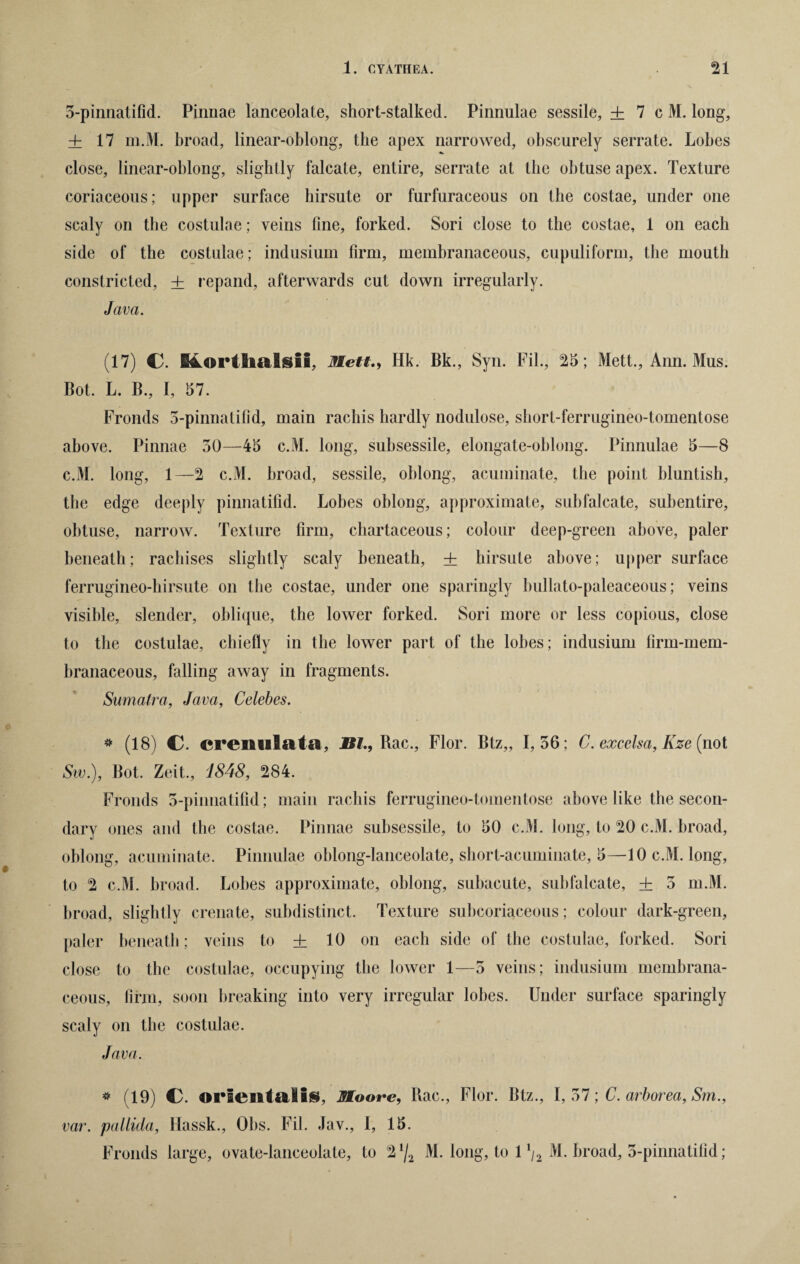 5-pinnatifid. Pinnae lanceolate, short-stalked. Pinnulae sessile, ± 7 c M. long, + 17 m.M. broad, linear-oblong, the apex narrowed, obscurely serrate. Lobes close, linear-oblong, slightly falcate, entire, serrate at the obtuse apex. Texture coriaceous; upper surface hirsute or furfuraceous on the costae, under one scaly on the costulae; veins fine, forked. Sori close to the costae, 1 on each side of the costulae; indusium firm, membranaceous, cupuliform, the mouth constricted, + repand, afterwards cut down irregularly. Java. (17) C. Mortlialsii, MettHk. Bk., Syn. Fil., 25; Mett., Ann. Mus. Bot. L. B., I, 57. Fronds 5-pinnatifid, main rachis hardly nodulose, short-ferrugineo-tomentose above. Pinnae 50—45 c.M. long, subsessile, elongate-oblong. Pinnulae 5—8 c.M. long, 1—2 c.M. broad, sessile, oblong, acuminate, the point hluntish, the edge deeply pinnatifid. Lobes oblong, approximate, subfalcate, suhentire, obtuse, narrow. Texture firm, chartaceous; colour deep-green above, paler beneath; rachises slightly scaly beneath, ± hirsute above; upper surface ferrugineo-hirsute on the costae, under one sparingly bullato-paleaceous; veins visible, slender, oblique, the lower forked. Sori more or less copious, close to the costulae, chiefly in the lower part of the lobes; indusium firm-mem¬ branaceous, falling away in fragments. Sumatra, Java, Celebes. * (18) C. crenulata, _BI., Rac., Flor. Btz„ 1,56; C. excelsa, Kze (not Sw.), Bot. Zeit., i848, 284. Fronds 5-pinnatifid; main rachis ferrugineo-tomentose above like the secon¬ dary ones and the costae. Pinnae subsessile, to 50 c.M. long, to 20 c.M. broad, oblong, acuminate. Pinnulae oblong-lanceolate, short-acuminate, 5—10 c.M. long, to 2 c.M. broad. Lobes approximate, oblong, subacute, subfalcate, ± 5 m.M. broad, slightly crenate, subdistinct. Texture subcoriaceous; colour dark-green, paler beneath; veins to + 10 on each side of the costulae, forked. Sori close to the costulae, occupying the lower 1—5 veins; indusium membrana¬ ceous, firm, soon breaking into very irregular lobes. Under surface sparingly scaly on the costulae. Java. * (19) C. orientalis, Moore, Rac., Flor. Btz., 1,57; C. arborea, Sm., var. pallida, Hassk., Ohs. Fil. Jav., I, 15. Fronds large, ovate-lanceolate, to 2lj2 M. long, to 1 */2 M. Broad, 5-pinnatifid;