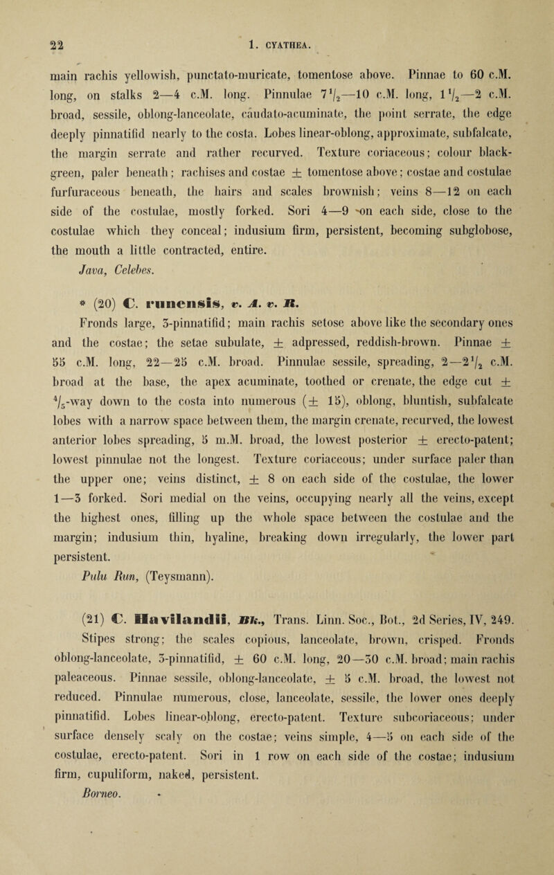 main rachis yellowish, punctato-muricate, tomentose above. Pinnae to 60 c.M. long, on stalks 2—4 c.M. long. Pinnulae 7J/2—10 c.M. long, 1*/2—2 c.M. broad, sessile, oblong-lanceolate, caudato-acuminate, the point serrate, the edge deeply pinnatifid nearly to the costa. Lobes linear-oblong, approximate, subfalcate, the margin serrate and rather recurved. Texture coriaceous; colour black- green, paler beneath; rachises and costae ± tomentose above; costae and costulae furfuraceous beneath, the hairs and scales brownish; veins 8—12 on each side of the costulae, mostly forked. Sori 4—9 sm each side, close to the costulae which they conceal; indusium firm, persistent, becoming subglobose, the mouth a little contracted, entire. Java, Celebes. * (20) C. I’uiieiisis, r. a. JR. Fronds large, 5-pinnatifid; main rachis setose above like the secondary ones and the costae; the setae subulate, + adpressed, reddish-brown. Pinnae + 55 c.M. long, 22—25 c.M. broad. Pinnulae sessile, spreading, 2—2*/2 c.M. broad at the base, the apex acuminate, toothed or crenate, the edge cut + 4/,-way down to the costa into numerous (+ 15), oblong, bluntish, subfalcate lobes with a narrow space between them, the margin crenate, recurved, the lowest anterior lobes spreading, 5 m.M. broad, the lowest posterior + erecto-patent; lowest pinnulae not the longest. Texture coriaceous; under surface paler than the upper one; veins distinct, ± 8 on each side of the costulae, the lower 1—3 forked. Sori medial on the veins, occupying nearly all the veins, except the highest ones, filling up the whole space between the costulae and the margin; indusium thin, hyaline, breaking down irregularly, the lower part persistent. Pulu Run, (Teysmann). (21) CL IIa vilamlii, SU.9 Trans. Linn. Soc., Bot., 2d Series, IV, 249. Stipes strong; the scales copious, lanceolate, brown, crisped. Fronds oblong-lanceolate, 5-pinnatifid, + 60 c.M. long, 20—50 c.M. broad; main rachis paleaceous. Pinnae sessile, oblong-lanceolate, + 5 c.M. broad, the lowest not reduced. Pinnulae numerous, close, lanceolate, sessile, the lower ones deeply pinnatifid. Lobes linear-oblong, erecto-patent. Texture suhcoriaceous; under surface densely scaly on the costae; veins simple, 4—5 on each side of the costulae, erecto-patent. Sori in 1 row on each side of the costae; indusium firm, cupuliform, naked, persistent. Borneo.