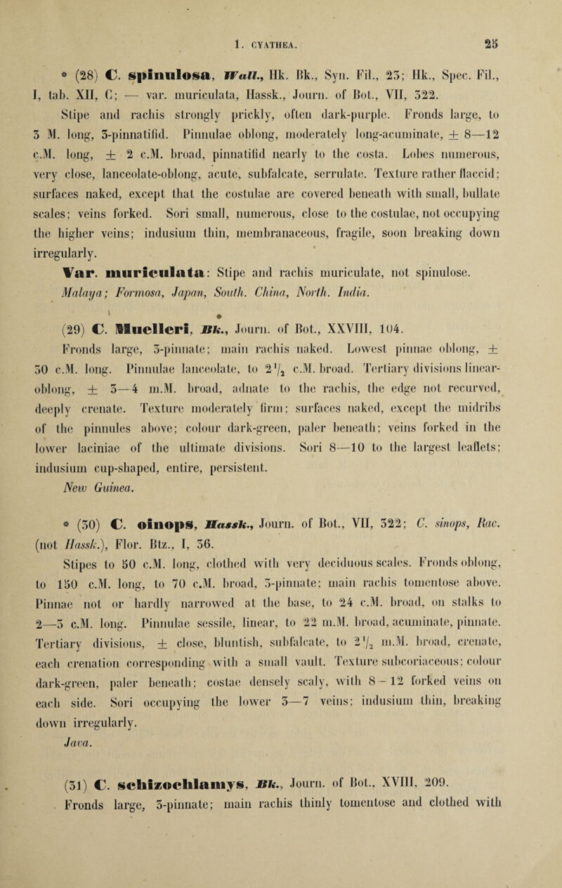 * (28) C. spinulosa, WallHk. Bk., Syn. Fil., 25; Hk., Spec. Fil., I, tab. XII, C; — var. muriculata, Hassk., Journ. of Bot., VII, 522. Stipe and racliis strongly prickly, often dark-purple. Fronds large, to 5 M. long, 5-pinnatifid. Pinnulae oblong, moderately long-acuminate, + 8—12 c.M. long, + 2 c.M. broad, pinnatifid nearly to the costa. Lobes numerous, * very close, lanceolate-oblong, acute, subfalcate, serrulate. Texture rather flaccid; surfaces naked, except that the coslulae are covered beneath with small, bullate scales; veins forked. Sori small, numerous, close to the costulae, not occupying the higher veins; indusium thin, membranaceous, fragile, soon breaking down irregularly. Var. muriculata: Stipe and rachis muriculate, not spinulose. Malaya; Formosa, Japan, South. China, North. India. (29) €3. lluelleri, Bit., Journ. of Bot., XXVIII, 104. Fronds large, 5-pinnate; main rachis naked. Lowest pinnae oblong, ± 50 c.M. long. Pinnulae lanceolate, to 2*/2 c.M. broad. Tertiary divisions linear- oblong, + 5—4 m.M. broad, adnate to the rachis, the edge not recurved, deeply crenate. Texture moderately firm; surfaces naked, except the midribs of the pinnules above; colour dark-green, paler beneath; veins forked in the lower laciniae of the ultimate divisions. Sori 8—10 to the largest leaflets; indusium cup-shaped, entire, persistent. New Guinea. * (50) C. oiuopS, Basslt., Journ. of Bot., VII, 522; C. shops, Rac. (not Hassk.), Flor. Btz., I, 56. Stipes to 50 c.M. long, clothed with very deciduous scales. Fronds oblong, to 150 c.M. long, to 70 c.M. broad, 5-pinnate; main rachis tomentose above. Pinnae not or hardly narrowed at the base, to 24 c.M. broad, on stalks to 2—5 c.M. long. Pinnulae sessile, linear, to 22 m.M. broad, acuminate, pinnate. Tertiary divisions, + close, bluntish, subfalcate, to 21/.i m.M. broad, crenate, each crenation corresponding with a small vault. Texture subcoriaceous; colour dark-green, paler beneath; costae densely scaly, with 8—12 forked veins on each side. Sori occupying the lower 5—7 veins; indusium thin, breaking down irregularly. Java. (51) C. scliizoclilamys, Bit., Journ. of Bot., XVIII, 209. Fronds large, 5-pinnate; main rachis thinly tomentose and clothed with