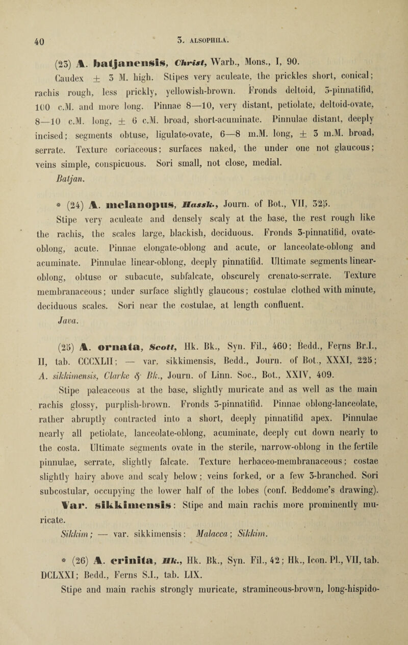 (25) M. batjanensis, Christ, Warb., Mons., I, 90. Caudex + 5 M. high. Slipes very aculeate, the prickles short, conical; rachis rough, less prickly, yellowish-brown. Fronds deltoid, 5-pinnatifid, 100 c.M. and more long. Pinnae 8—10, very distant, petiolate, deltoid-ovate, 8 10 c.M. long, + 6 c.M. broad, short-acuminate. Pinnulae distant, deeply incised; segments obtuse, ligulate-ovate, 6—8 m.M. long, + 5 m.M. broad, serrate. Texture coriaceous; surfaces naked, the under one not glaucous; veins simple, conspicuous. Sori small, not close, medial. Batjan. * (24) M. iltclaiioplis, Hassh., Journ. of Bot., VII, 525. Stipe very aculeate and densely scaly at the base, the rest rough like the rachis, the scales large, blackish, deciduous. Fronds 5-pinnatifid, ovate- oblong, acute. Pinnae elongate-oblong and acute, or lanceolate-oblong and acuminate. Pinnulae linear-oblong, deeply pinnatifid. Ultimate segments linear- oblong, obtuse or subacule, subfalcate, obscurely crenato-serrate. Texture membranaceous; under surface slightly glaucous; costulae clothed with minute, deciduous scales. Sori near the costulae, at length confluent. Java. (25) M. ornata, Scott, Hk. Bk., Syn. Fil., 460; Bedd., Ferns Br.I., II, tab. CCCXLII; — var. sikkimensis, Bedd., Journ. of Bot., XXXI, 225; A. sikkimensis, Clarke <3 Bk., Journ. of Linn. Soc., Bot., XXIV, 409. Stipe paleaceous at the base, slightly muricate and as well as the main rachis glossy, purplish-brown. Fronds 5-pinnatifid; Pinnae oblong-lanceolate, rather abruptly contracted into a short, deeply pinnatifid apex. Pinnulae nearly all petiolate, lanceolate-oblong, acuminate, deeply cut down nearly to the costa. Ultimate segments ovate in the sterile, narrow-oblong in the fertile pinnulae, serrate, slightly falcate. Texture herbaceo-membranaceous; costae slightly hairy above and scaly below; veins forked, or a few 5-branched. Sori subcostular, occupying the lower half of the lobes (conf. Beddome’s drawing). War. sikkimensis: Stipe and main rachis more prominently mu¬ ricate. Sikkim; — var. sikkimensis : Malacca ; Sikkim. * (26) M. erinita, Uh., Hk. Bk., Syn. Fil., 42; Hk., Icon. PL, VII, tab. DCLXXI; Bedd., Ferns S.I., tab. LIX. Stipe and main rachis strongly muricate, stramineous-brown, long-hispido-