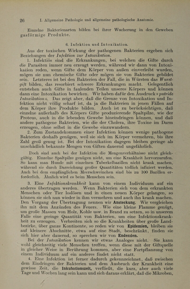 Einzelne Bakterienarten bilden bei ihrer Wucherung in den Geweben gasförmige Produkte. 6. Infektion und Intoxikation. Aus der toxischen Wirkung der pathogenen Bakterien ergeben sich Beziehungen der Infektion zur Intoxikation. 1. Infektiös sind die Erkrankungen, bei welchen die Gifte durch die Parasiten immer neu erzeugt werden, während wir dann von Intoxi¬ kation reden, wenn Gifte dem Körper von außen einverleibt wurden, mögen sie nun chemische Gifte oder mögen sie von Bakterien gebildet sein. Letzteres ist bei den Bakterien der Fall, die in Würsten das Wurst¬ gift bilden, das resorbiert schwere Erkrankungen macht. Gelegentlich entstehen auch Gifte in faulenden Teilen unseres Körpers und können dann eine Intoxikation bewirken. Wir haben dafür den Ausdruck » putride Intoxikation«. Das zeigt aber, daß die Grenze von Intoxikation und In¬ fektion nicht völlig scharf ist, da ja die Bakterien in jenen Fällen auf dem Körper ihre Produkte bilden. Auch ist zu berücksichtigen, daß einzelne außerhalb des Körpers Gifte produzierende Spaltpilze, wie der Proteus, auch in die lebenden Gewebe hineindringen können, und daß andere pathogene Bakterien, wie die der Cholera, ihre Toxine im Darm erzeugen, ohne selbst in die Gewebe einzuwandern. 2. Zum Zustandekommen einer Infektion können wenige pathogene Bakterien deshalb genügen, weil sie sich im Körper vermehren, bis ihre Zahl groß genug ist. Bei der Intoxikation dagegen bleiben geringe als unschädlich bekannte Mengen von Giften dauernd ungefährlich. Doch sind auch bei der Infektion die Mengenverhältnisse nicht gleich¬ gültig. Einzelne Spaltpilze genügen nicht, um eine Krankheit hervorzurufen. So kann man Hunde mit einzelnen Tuberkelbazillen nicht krank machen, während sie durch Darreichung großer Quantitäten tödlich infiziert werden. Auch bei dem empfänglichen Meerschweinchen sind bis zu 100 Bazillen er¬ forderlich. Ähnlich wird es beim Menschen sein. 3. Eine Infektionskrankheit kann von einem Individuum auf ein anderes übertragen werden. Wenn Bakterien sich von dem erkrankten Menschen oder Tier loslösen und in einen neuen Körper gelangen, so können sie sich nun wieder in ihm vermehren und auch ihn krank machen. Den Vorgang der Übertragung nennen wir Ansteckung. Wir vergleichen ihn mit dem Anzünden des Feuers. Wie eine kleine Flamme genügt, um große Massen von Holz, Kohle usw. in Brand zu setzen, so in unserem Falle eine geringe Quantität von Bakterien, um eine Infektionskrank¬ heit zu erzeugen. Verbreiten sich so die Krankheiten über große Land¬ bezirke, über ganze Kontinente, so reden wir von Epidemien, bleiben sie auf kleinere Abschnitte, etwa auf eine Stadt, beschränkt, finden sie sich hier aber dauernd, so sprechen wir von Endemien. Bei der Intoxikation kennen wir etwas Analoges nicht. Sie kann wohl gleichzeitig viele Menschen treffen, wenn diese mit der Giftquelle in gleicher Weise in Berührung kommen, aber eine Fortpflanzung von einem Individuum auf ein anderes findet nicht statt. 4. Eine Infektion ist ferner dadurch gekennzeichnet, daß zwischen dem Eindringen der Bakterien und dem Ausbruch der Krankheit eine gewisse Zeit, die Inkubationszeit, verfließt, die kurz, aber auch viele Tage und Wochen lang sein kann und sich daraus erklärt, daß die Mikroben,