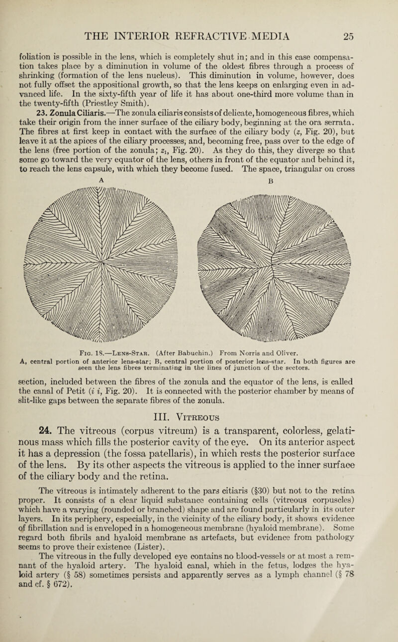 foliation is possible in the lens, which is completely shut in; and in this case compensa¬ tion takes place by a diminution in volume of the oldest fibres through a process of shrinking (formation of the lens nucleus). This diminution in volume, however, does not fully offset the appositional growth, so that the lens keeps on enlarging even in ad¬ vanced fife. In the sixty-fifth year of life it has about one-third more volume than in the twenty-fifth (Priestley Smith). 23. Zonula Ciliaris.—The zonula ciliaris consists of delicate, homogeneous fibres, which take their origin from the inner surface of the ciliary body, beginning at the ora serrata. The fibres at first keep in contact with the surface of the ciliary body (2, Fig. 20), but leave it at the apices of the ciliary processes, and, becoming free, pass over to the edge of the lens (free portion of the zonula; zlf Fig. 20). As they do this, they diverge so that some go toward the very equator of the lens, others in front of the equator and behind it, to reach the lens capsule, with which they become fused. The space, triangular on cross Fig. 18.—Lens-Star. (After Babuchin.) From Norris and Oliver. A, central portion of anterior lens-star; B, central portion of posterior lens-star. In both figures are seen the lens fibres terminating in the lines of junction of the sectors. section, included between the fibres of the zonula and the equator of the lens, is called the canal of Petit (i i, Fig. 20). It is connected with the posterior chamber by means of slit-like gaps between the separate fibres of the zonula. III. Vitreous 24. The vitreous (corpus vitreum) is a transparent, colorless, gelati¬ nous mass which fills the posterior cavity of the eye. On its anterior aspect it has a depression (the fossa patellaris), in which rests the posterior surface of the lens. By its other aspects the vitreous is applied to the inner surface of the ciliary body and the retina. The vitreous is intimately adherent to the pars citiaris (§30) but not to the retina proper. It consists of a clear liquid substance containing cells (vitreous corpuscles) which have a varying (rounded or branched) shape and are found particularly in its outer layers. In its periphery, especially, in the vicinity of the ciliary body, it shows evidence of fibrillation and is enveloped in a homogeneous membrane (hyaloid membrane). Some regard both fibrils and hyaloid membrane as artefacts, but evidence, from pathology seems to prove their existence (Lister). The vitreous in the fully developed eye contains no blood-vessels or at most a rem¬ nant of the hyaloid artery. The hyaloid canal, which in the fetus, lodges the hya¬ loid artery (§ 58) sometimes persists and apparently serves as a lymph channel (§ 78 and cf. § 672).