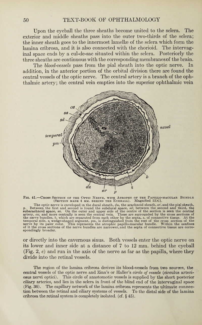 Upon the eyeball the three sheaths become united to the sclera. The exterior and middle sheaths pass into the outer two-thirds of the sclera; the inner sheath goes to the innermost lamellae of the sclera which form the lamina cribrosa, and it is also connected with the chorioid. The intervag- inal space ends by a cul-de-sac situated within the sclera. Posteriorly the three sheaths are continuous with the corresponding membranes of the brain. The blood-vessels pass from the pial sheath into the optic nerve. In addition, in the anterior portion of the orbital division there are found the central vessels of the optic nerve. The central artery is a branch of the oph¬ thalmic artery; the central vein empties into the superior ophthalmic vein Fig. 41.—Cross Section of the Optic Nerve, with Atrophy of the Papillo-macular Bundle (Section made 4 mm. behind the Eyeball). Magnified 15X1. The optic nerve is enveloped in the dural sheath, du, the arachnoid sheath, ar, and the pial sheath, p. Between the first and second is found the subdural space, sd; between the second and third, the subarachnoid space, so. On the outer and upper side of the centre of the section is seen the central artery, ca; and more centrally is seen the central vein. These are surrounded by the cross sections of the nerve bundles, 6, which are separated from each other by the septa, s, of connective tissue. At the temporal side, a wedge-shaped segment, pm, is distinguished from the rest of the cross section of the nerve by its paler color. This represents the atrophic papillo-macular bundle. Within the confines of it the cross sections of the nerve bundles are narrower, and the septa of connective tissue are corre¬ spondingly broader. or directly into the cavernous sinus. Both vessels enter the optic nerve on its lower and inner side at a distance of 7 to 12 mm. behind the eyeball (Fig. 2, e) and run in the axis of the nerve as far as the papilla, where they divide into the retinal vessels. The region of the lamina cribrosa derives its blood-vessels from two sources, the central vessels of the optic nerve and Zinn’s or Haller’s circle of vessels (circulus arteri¬ osus nervi optici). This circle of anastomotic vessels is supplied by the short posterior ciliary arteries, and lies in the sclera in front of the blind end of the intervaginal space (Fig. 36). The capillary network of the lamina cribrosa represents the ultimate connec¬ tion between the retinal and ciliary systems of vessels. To the distal side of the lamina cribrosa the retinal system is completely isolated, (cf. § 45).