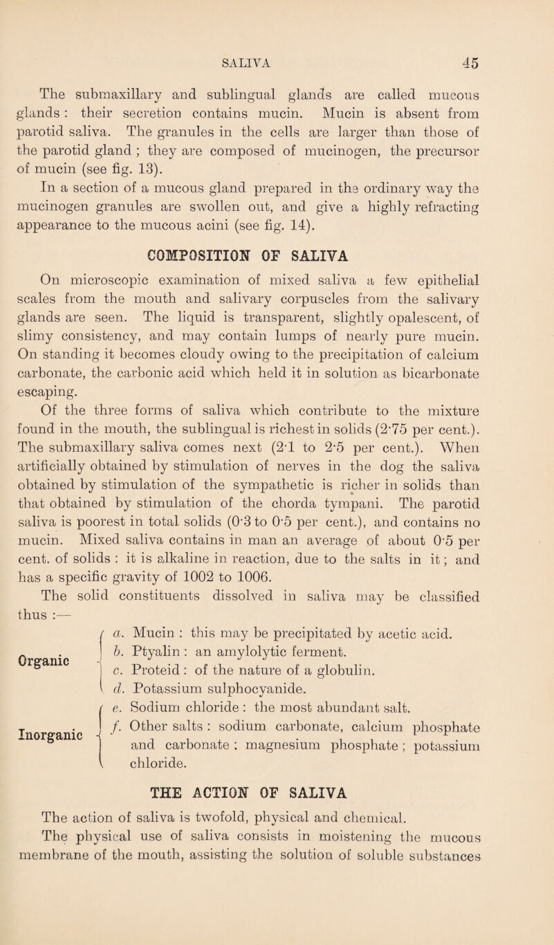 The submaxillary and sublingual glands are called mucous glands : their secretion contains mucin. Mucin is absent from parotid saliva. The granules in the cells are larger than those of the parotid gland ; they are composed of mucinogen, the precursor of mucin (see fig. 13). In a section of a mucous gland prepared in the ordinary way the mucinogen granules are swollen out, and give a highly refracting appearance to the mucous acini (see fig. 14). COMPOSITION OF SALIVA On microscopic examination of mixed saliva a few epithelial scales from the mouth and salivary corpuscles from the salivary glands are seen. The liquid is transparent, slightly opalescent, of slimy consistency, and may contain lumps of nearly pure mucin. On standing it becomes cloudy owing to the precipitation of calcium carbonate, the carbonic acid which held it in solution as bicarbonate escaping. Of the three forms of saliva which contribute to the mixture found in the mouth, the sublingualis richest in solids (2*75 per cent.). The submaxillary saliva comes next (2-1 to 2-5 per cent.). When artificially obtained by stimulation of nerves in the dog the saliva obtained by stimulation of the sympathetic is richer in solids than that obtained by stimulation of the chorda tympani. The parotid saliva is poorest in total solids (03 to 05 per cent.), and contains no mucin. Mixed saliva contains in man an average of about 05 per cent, of solids : it is alkaline in reaction, due to the salts in it; and has a specific gravity of 1002 to 1006. The solid constituents dissolved in saliva may be classified thus :— Organic Inorganic / a. Mucin : this may be precipitated by acetic acid. b. Ptyalin : an amylolytic ferment. I c. Proteid : of the nature of a globulin. \ cl. Potassium sulphocyanide. ( e. Sodium chloride : the most abundant salt, j /. Other salts : sodium carbonate, calcium phosphate and carbonate ; magnesium phosphate ; potassium V chloride. THE ACTION OF SALIVA The action of saliva is twofold, physical and chemical. The physical use of saliva consists in moistening the mucous membrane of the mouth, assisting the solution of soluble substances