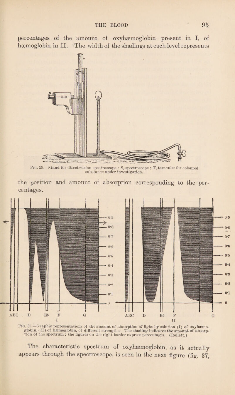 percentages of the amount of oxyhaemoglobin present in I, of haemoglobin in II. The width of the shadings at each level represents Pig. 35.—Stand for direct-vision spectroscope : S, spectroscope; T, test-tube for coloured substance under investigation. the position and amount of absorption corresponding to the per¬ centages. ii Pig. 36.—Graphic representations of the amount of absorption of light by solution (I) of oxyhaemo¬ globin, (II) of haemoglobin, of different strengths. The shading indicates the amount of absorp¬ tion of the spectrum ; the figures on the right border express percentages. (Rollett.) The characteristic spectrum of oxyhaemoglobin, as it actually appears through the spectroscope, is seen in the next figure (fig. 37,