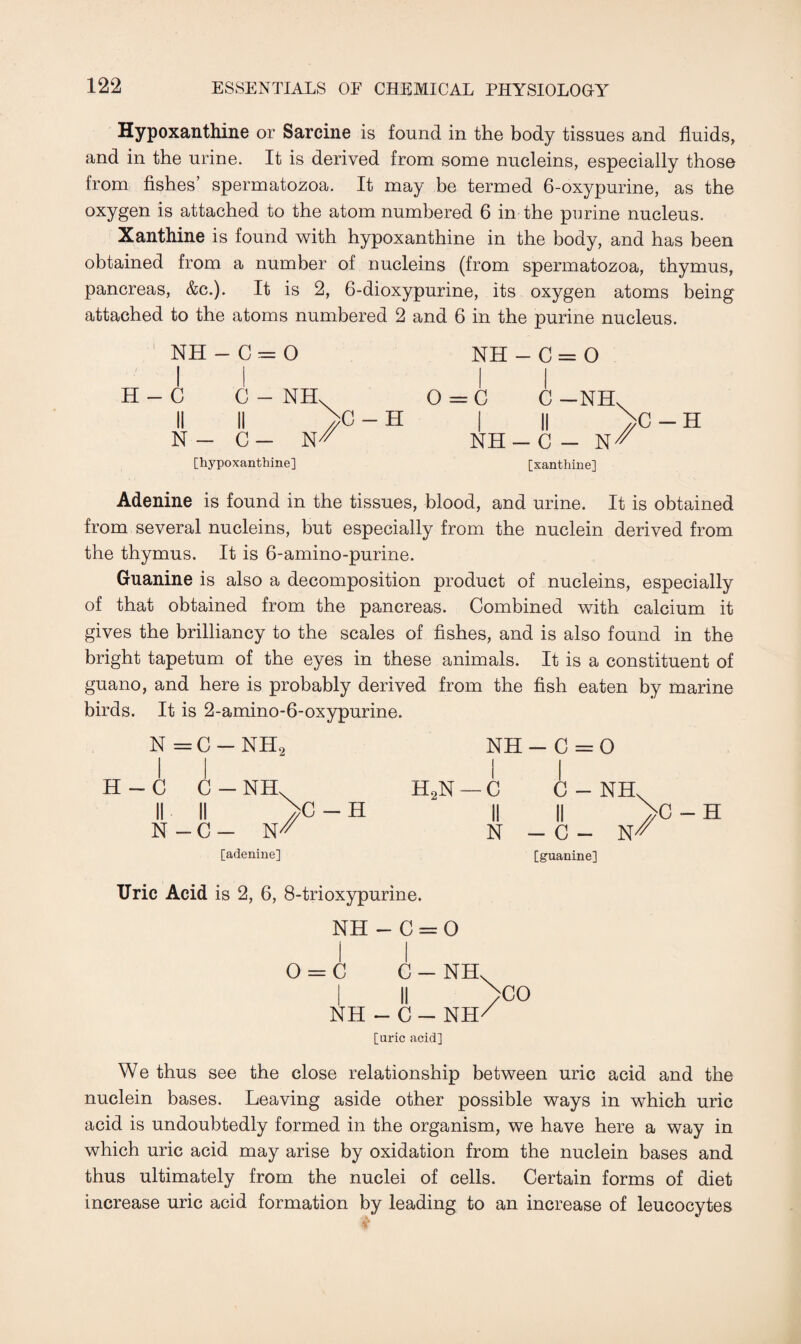 Hypoxanthine or Sarcine is found in the body tissues and fluids, and in the urine. It is derived from some nucleins, especially those from fishes’ spermatozoa. It may be termed 6-oxypurine, as the oxygen is attached to the atom numbered 6 in the purine nucleus. Xanthine is found with hypoxanthine in the body, and has been obtained from a number of nucleins (from spermatozoa, thymus, pancreas, &c.). It is 2, 6-dioxypurine, its oxygen atoms being attached to the atoms numbered 2 and 6 in the purine nucleus. NH - C = O H - C C - NIL II II >C N - C [hypoxanthine] - H NH - C = O 0 = C C —NH. I II >C NH - C - N^ [xanthine] -H Adenine is found in the tissues, blood, and urine. It is obtained from several nucleins, but especially from the nuclein derived from the thymus. It is 6-amino-purine. Guanine is also a decomposition product of nucleins, especially of that obtained from the pancreas. Combined with calcium it gives the brilliancy to the scales of fishes, and is also found in the bright tapetum of the eyes in these animals. It is a constituent of guano, and here is probably derived from the fish eaten by marine birds. It is 2-amino-6-oxypurine. N = C - NH, I I H - C C - NH. II II >C - H N - C - W' [adenine] [guanine] Uric Acid is 2, 6, 8-trioxypurine. NH - C = O O = C C - NH. I II >C0 NH - C - NH-7 [uric acid] We thus see the close relationship between uric acid and the nuclein bases. Leaving aside other possible ways in which uric acid is undoubtedly formed in the organism, we have here a way in which uric acid may arise by oxidation from the nuclein bases and thus ultimately from the nuclei of cells. Certain forms of diet increase uric acid formation by leading to an increase of leucocytes