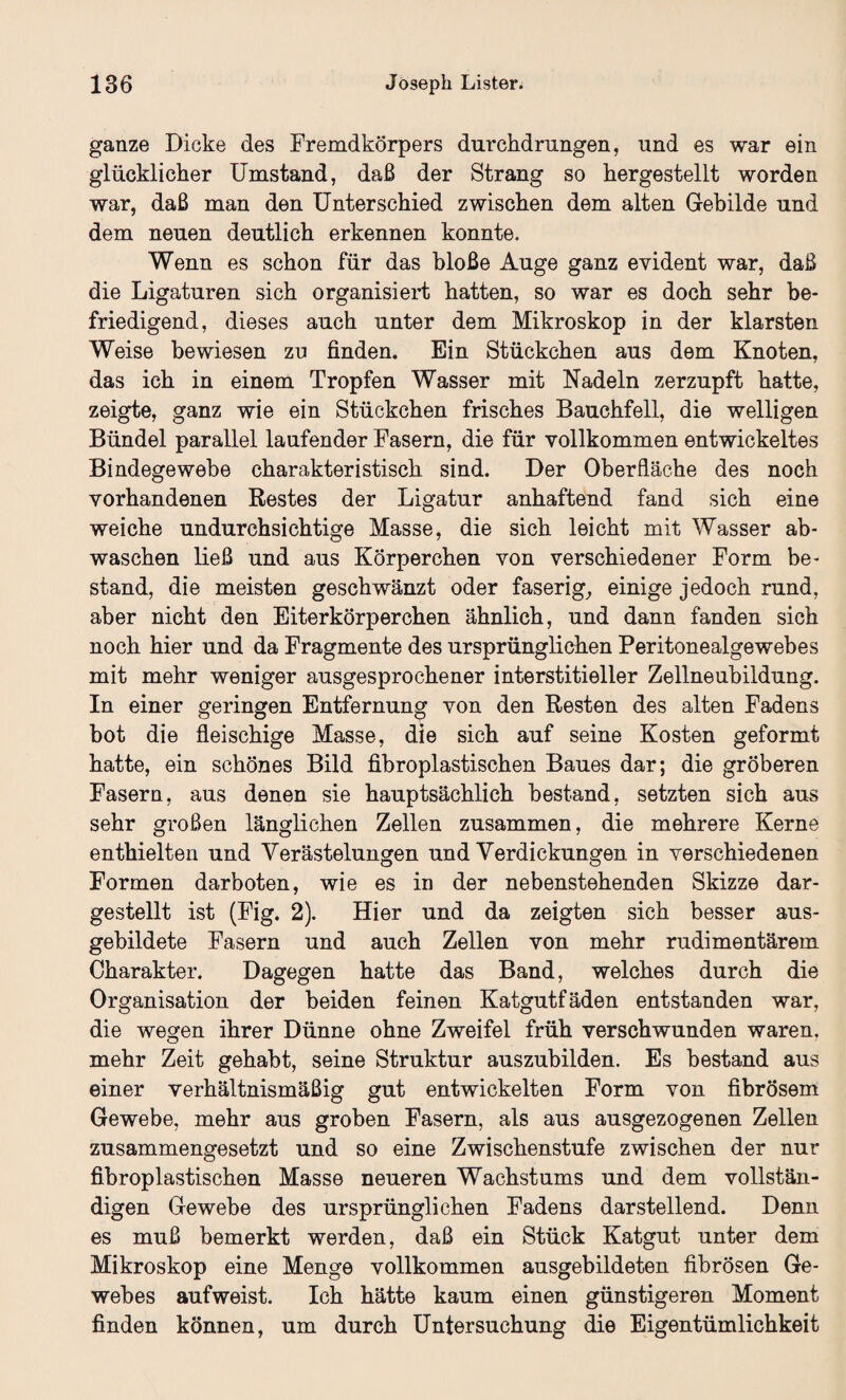 ganze Dicke des Fremdkörpers durchdrungen, und es war ein glücklicher Umstand, daß der Strang so hergestellt worden war, daß man den Unterschied zwischen dem alten Gebilde und dem neuen deutlich erkennen konnte. Wenn es schon für das bloße Auge ganz evident war, daß die Ligaturen sich organisiert hatten, so war es doch sehr be¬ friedigend, dieses auch unter dem Mikroskop in der klarsten Weise bewiesen zu finden. Ein Stückchen aus dem Knoten, das ich in einem Tropfen Wasser mit Nadeln zerzupft hatte, zeigte, ganz wie ein Stückchen frisches Bauchfell, die welligen Bündel parallel laufender Fasern, die für vollkommen entwickeltes Bindegewebe charakteristisch sind. Der Oberfläche des noch vorhandenen Restes der Ligatur anhaftend fand sich eine weiche undurchsichtige Masse, die sich leicht mit Wasser ab- waschen ließ und aus Körperchen von verschiedener Form be¬ stand, die meisten geschwänzt oder faserig, einige jedoch rund, aber nicht den Eiterkörperchen ähnlich, und dann fanden sich noch hier und da Fragmente des ursprünglichen Peritonealgewebes mit mehr weniger ausgesprochener interstitieller Zellneubildung. In einer geringen Entfernung von den Resten des alten Fadens bot die fleischige Masse, die sich auf seine Kosten geformt hatte, ein schönes Bild fibroplastischen Baues dar; die gröberen Fasern, aus denen sie hauptsächlich bestand, setzten sich aus sehr großen länglichen Zellen zusammen, die mehrere Kerne enthielten und Verästelungen und Verdickungen in verschiedenen Formen darboten, wie es in der nebenstehenden Skizze dar¬ gestellt ist (Fig. 2). Hier und da zeigten sich besser aus¬ gebildete Fasern und auch Zellen von mehr rudimentärem Charakter. Dagegen hatte das Band, welches durch die Organisation der beiden feinen Katgutfäden entstanden war, die wegen ihrer Dünne ohne Zweifel früh verschwunden waren, mehr Zeit gehabt, seine Struktur auszubilden. Es bestand aus einer verhältnismäßig gut entwickelten Form von fibrösem Gewebe, mehr aus groben Fasern, als aus ausgezogenen Zellen zusammengesetzt und so eine Zwischenstufe zwischen der nur fibroplastischen Masse neueren Wachstums und dem vollstän¬ digen Gewebe des ursprünglichen Fadens darstellend. Denn es muß bemerkt werden, daß ein Stück Katgut unter dem Mikroskop eine Menge vollkommen ausgebildeten fibrösen Ge¬ webes auf weist. Ich hätte kaum einen günstigeren Moment finden können, um durch Untersuchung die Eigentümlichkeit